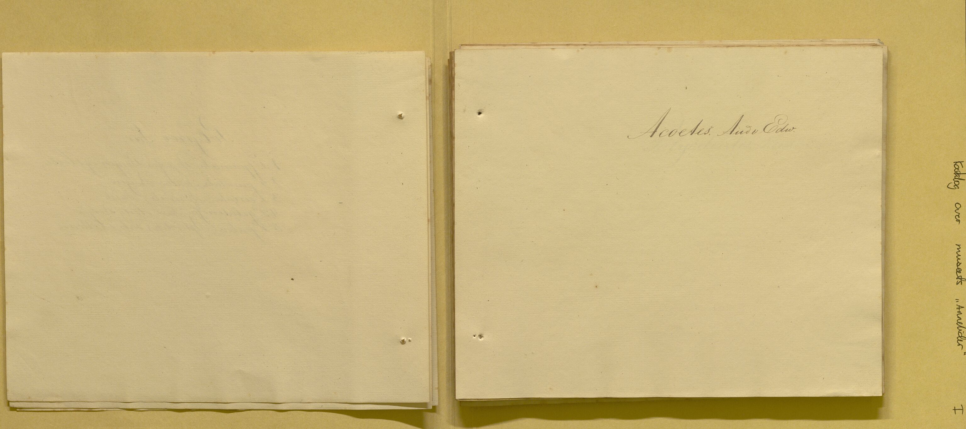 Bergens Museum, AV/SAB-A-17301/08/F/L0001: Fem udaterte kataloger fra 1800-tallet over leddormer, krepsdyr og fugler, 1825-1900, p. 6