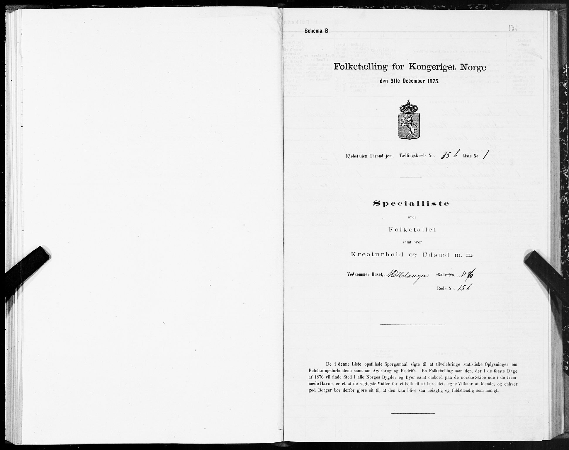 SAT, 1875 census for 1601 Trondheim, 1875, p. 8131