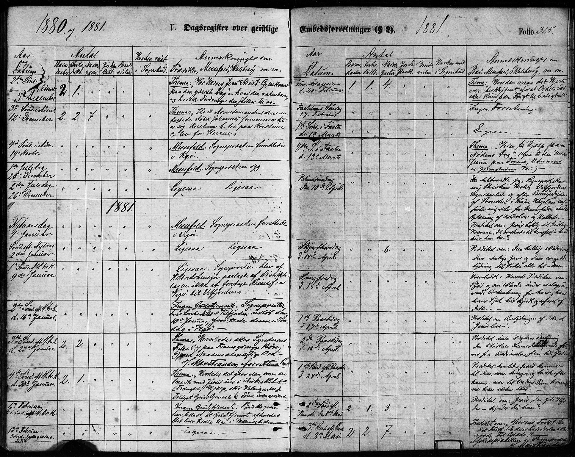 Ministerialprotokoller, klokkerbøker og fødselsregistre - Nordland, AV/SAT-A-1459/814/L0225: Parish register (official) no. 814A06, 1875-1885, p. 315