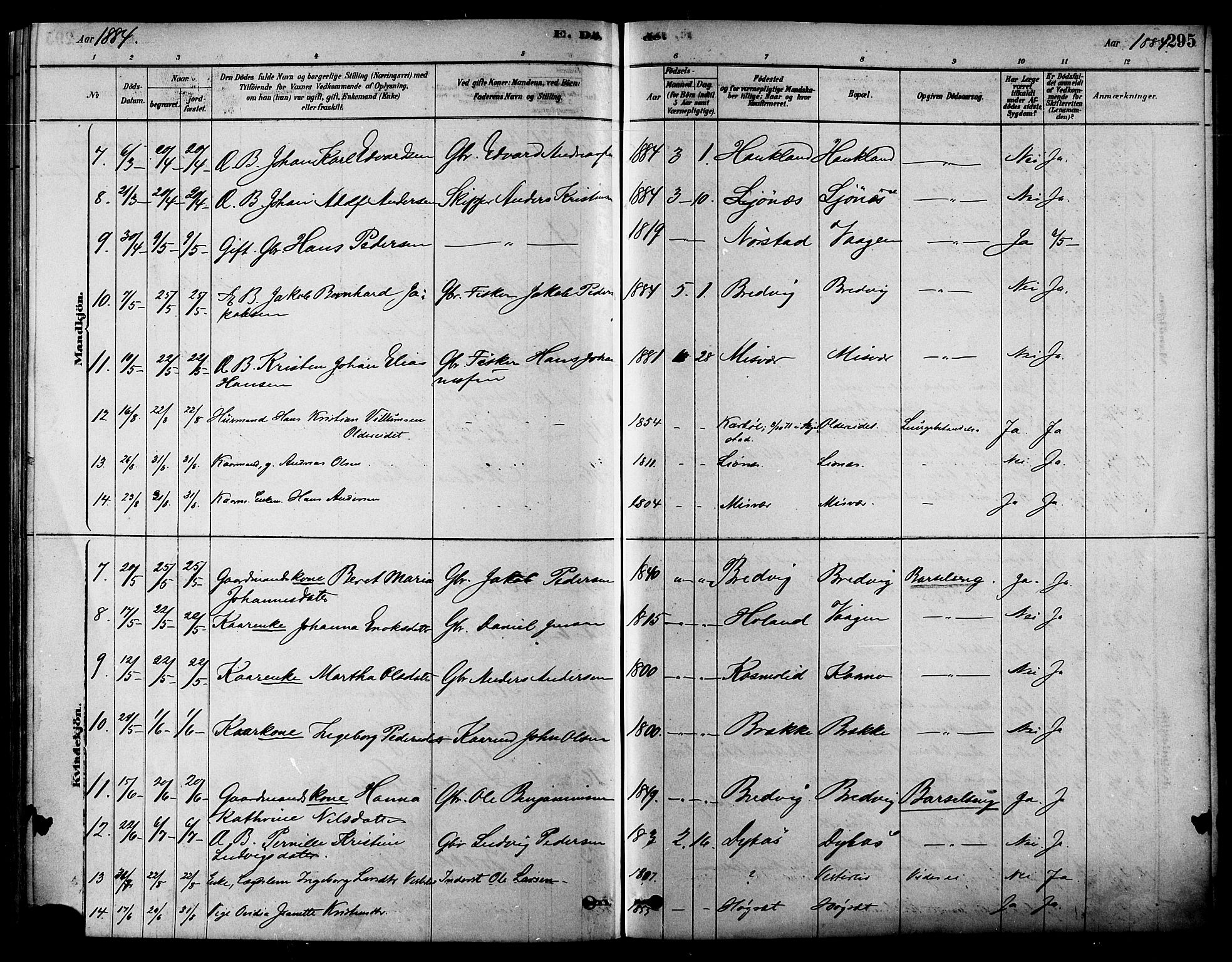 Ministerialprotokoller, klokkerbøker og fødselsregistre - Nordland, SAT/A-1459/852/L0740: Parish register (official) no. 852A10, 1878-1894, p. 295