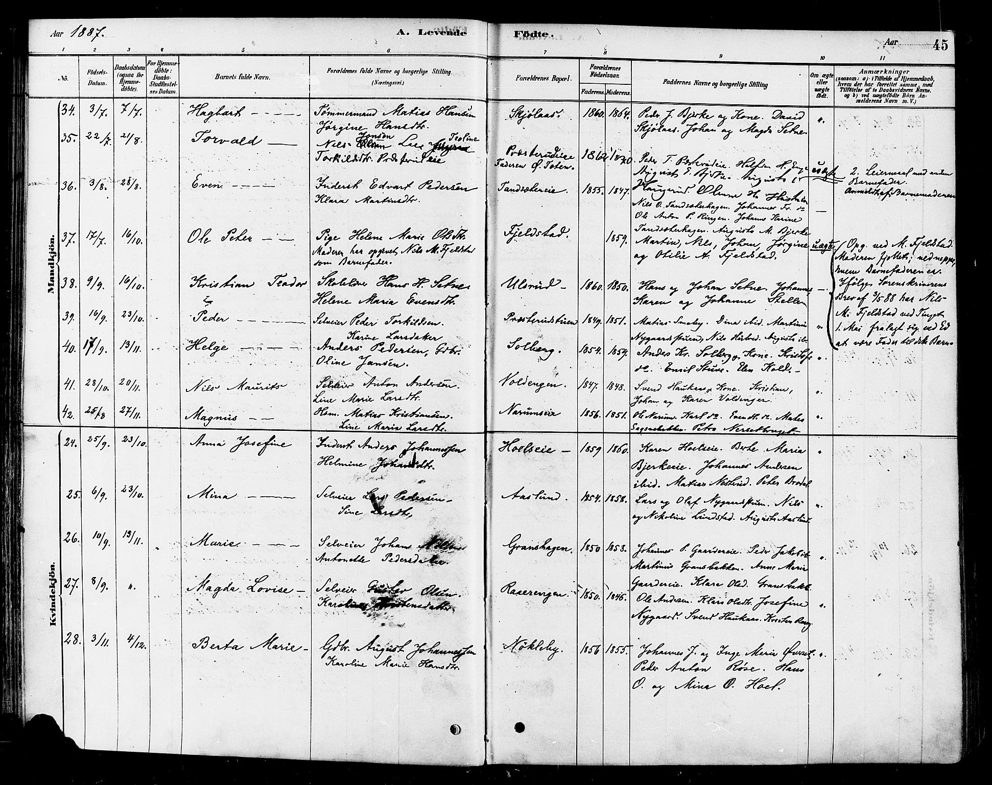 Vestre Toten prestekontor, AV/SAH-PREST-108/H/Ha/Haa/L0010: Parish register (official) no. 10, 1878-1894, p. 45