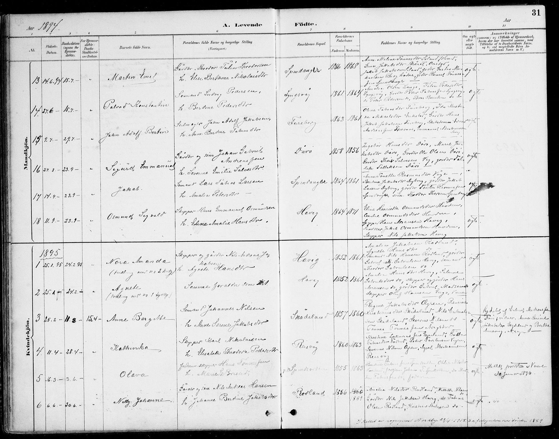 Herad sokneprestkontor, AV/SAK-1111-0018/F/Fa/Fab/L0005: Parish register (official) no. A 5, 1886-1913, p. 31