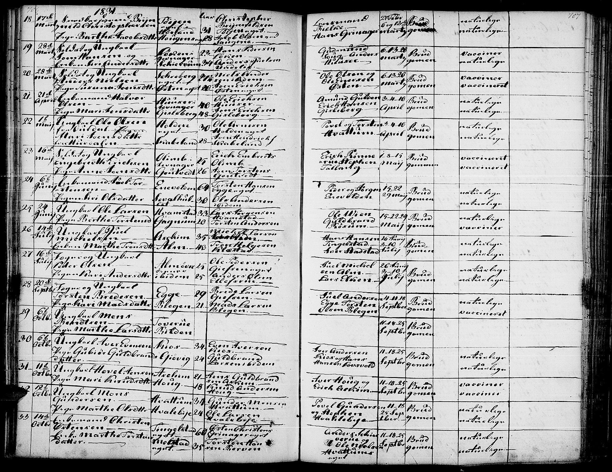 Gran prestekontor, SAH/PREST-112/H/Ha/Haa/L0010: Parish register (official) no. 10, 1824-1842, p. 706-707