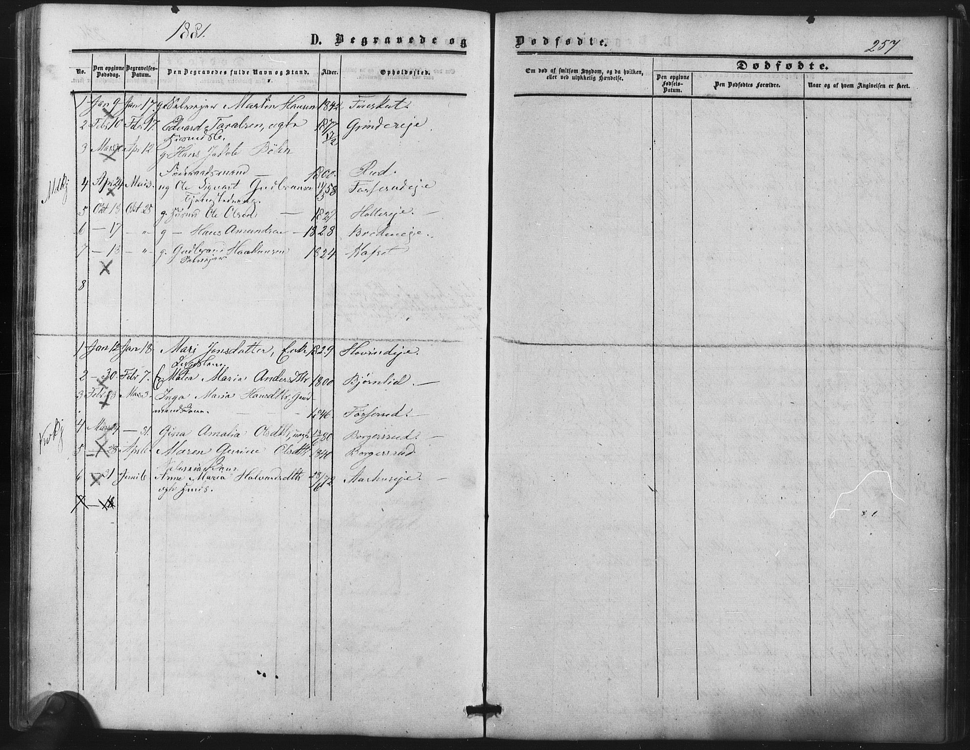 Nes prestekontor Kirkebøker, AV/SAO-A-10410/F/Fb/L0001: Parish register (official) no. II 1, 1859-1882, p. 257