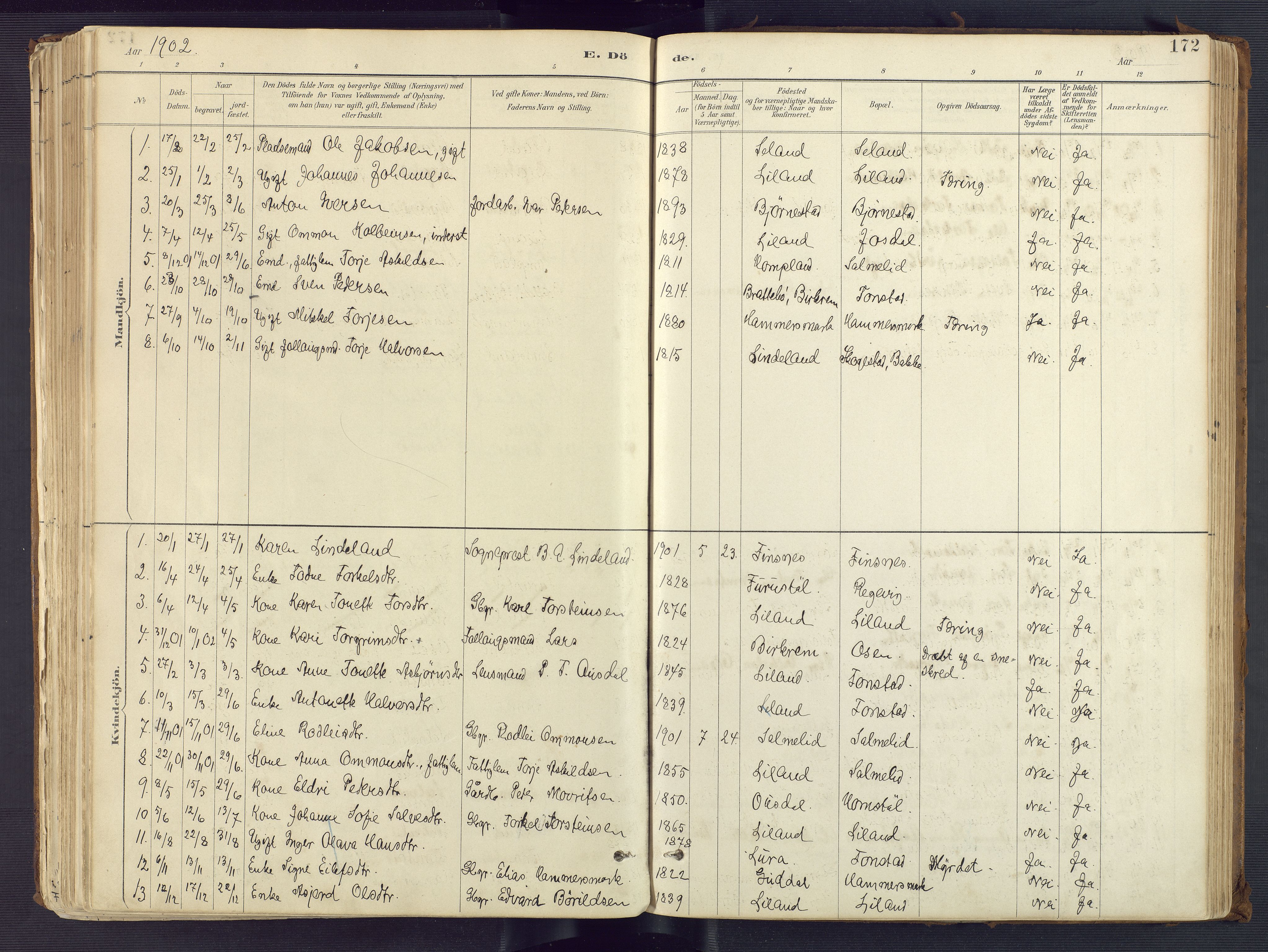 Sirdal sokneprestkontor, AV/SAK-1111-0036/F/Fa/Fab/L0004: Parish register (official) no. A 4, 1887-1919, p. 172