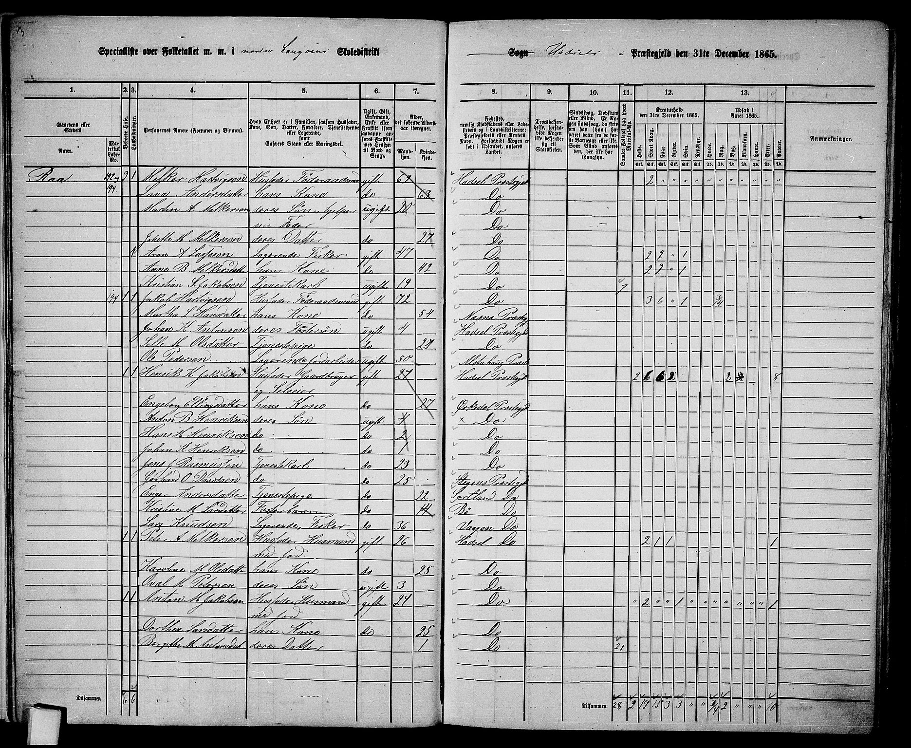 RA, 1865 census for Hadsel, 1865, p. 13