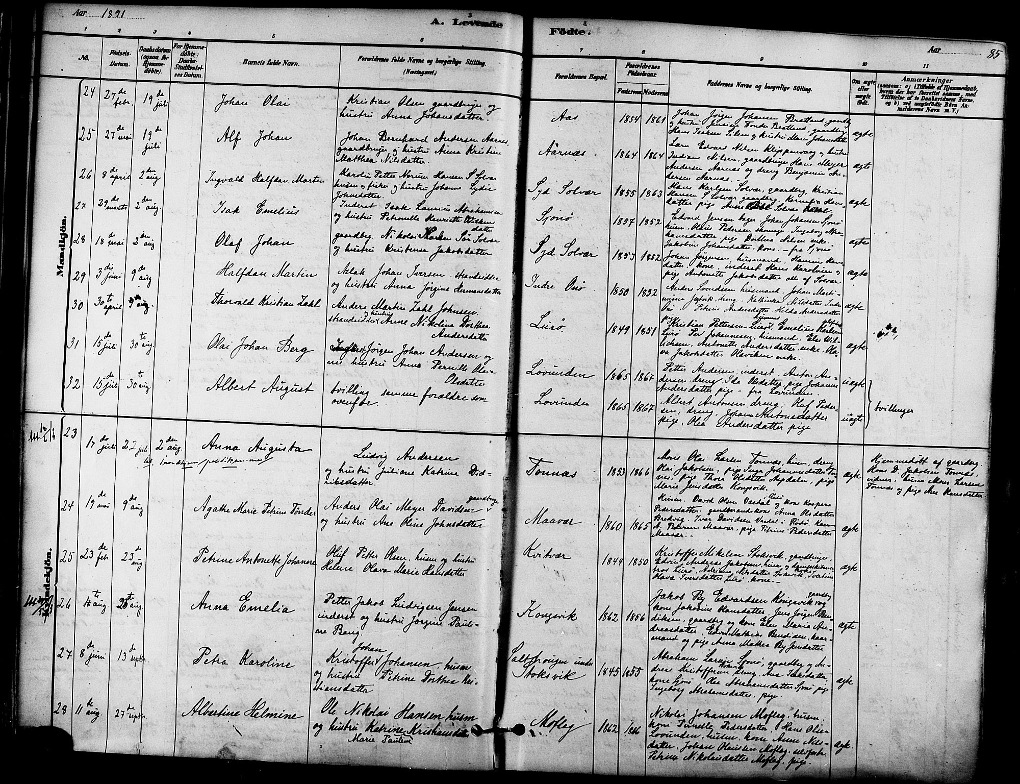 Ministerialprotokoller, klokkerbøker og fødselsregistre - Nordland, AV/SAT-A-1459/839/L0568: Parish register (official) no. 839A05, 1880-1902, p. 85