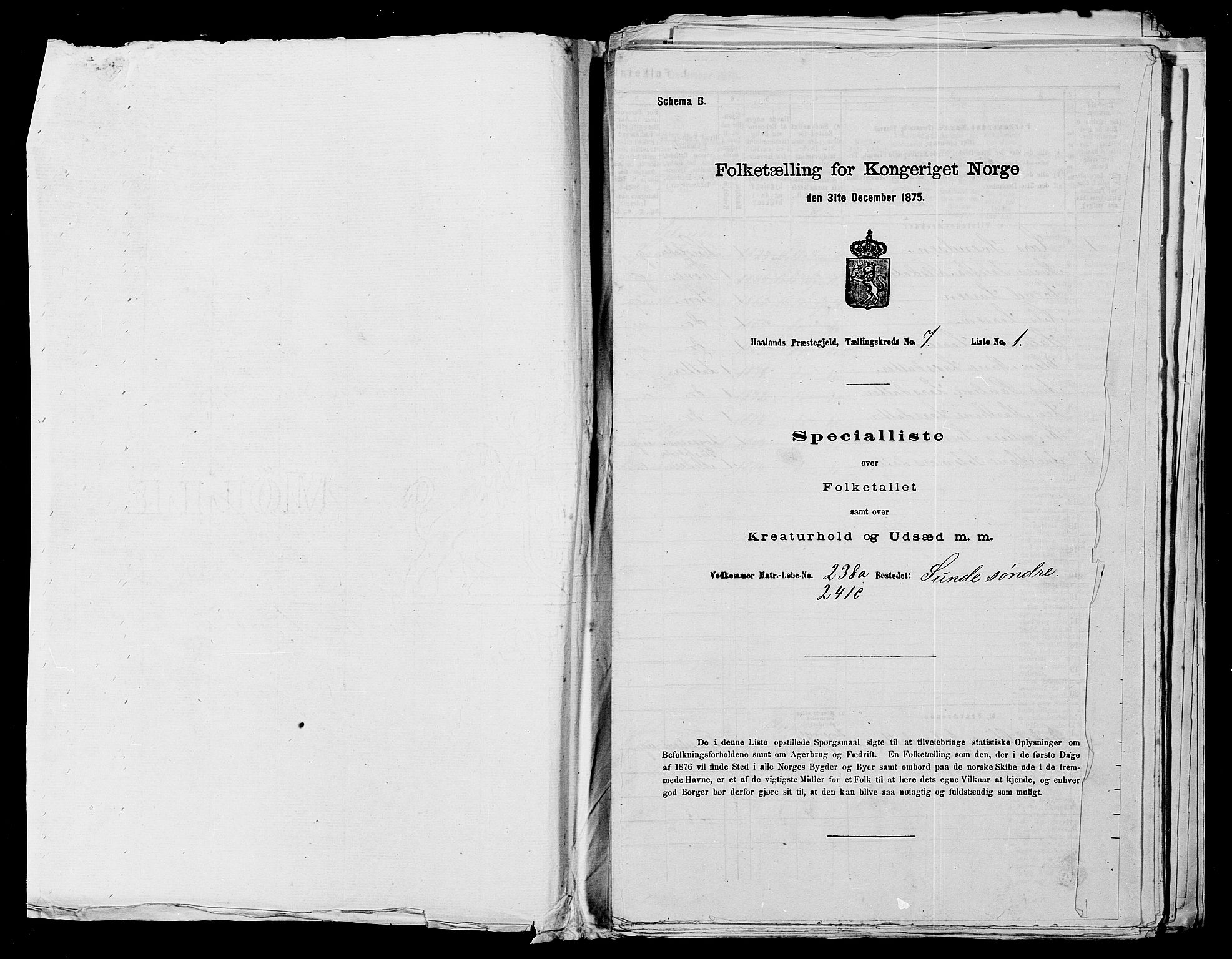 SAST, 1875 census for 1124P Håland, 1875, p. 1008