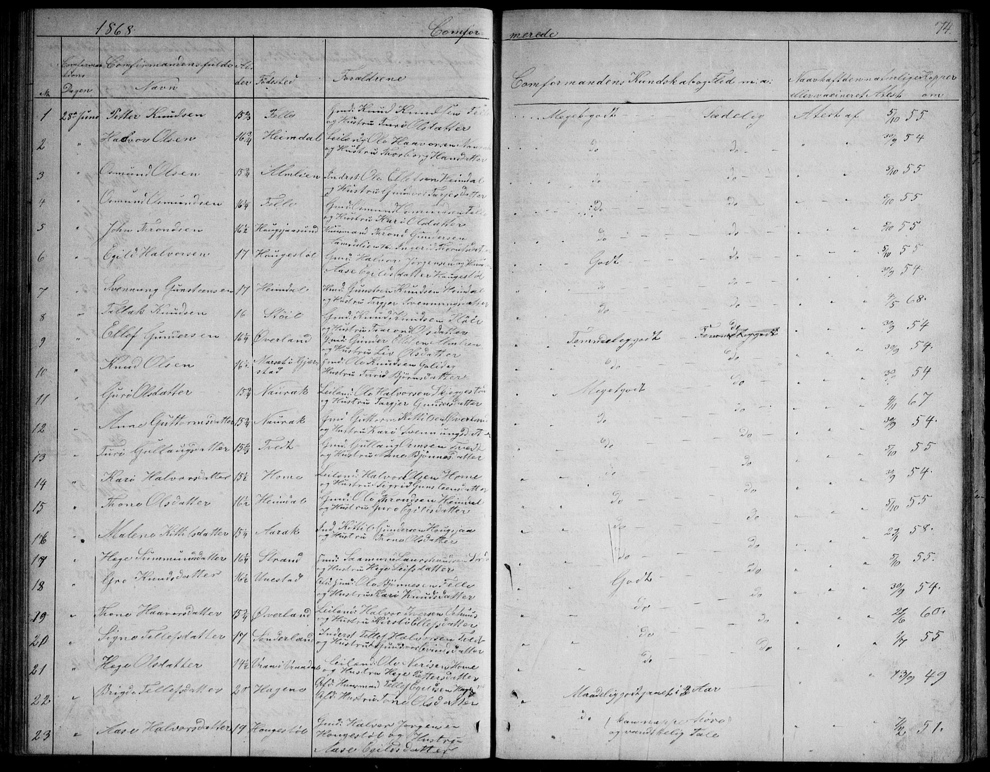 Nissedal kirkebøker, SAKO/A-288/G/Gb/L0002: Parish register (copy) no. II 2, 1863-1892, p. 74