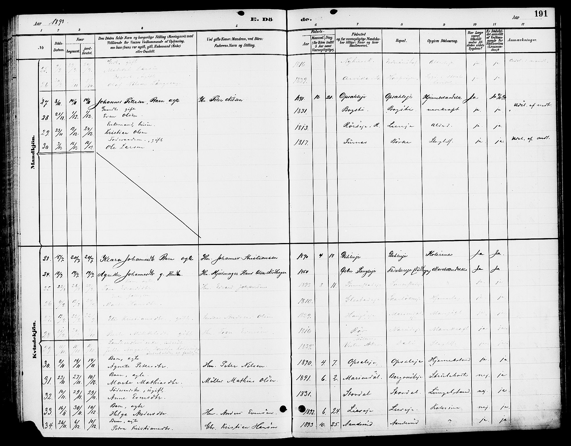 Ringsaker prestekontor, AV/SAH-PREST-014/L/La/L0014: Parish register (copy) no. 14, 1891-1904, p. 191