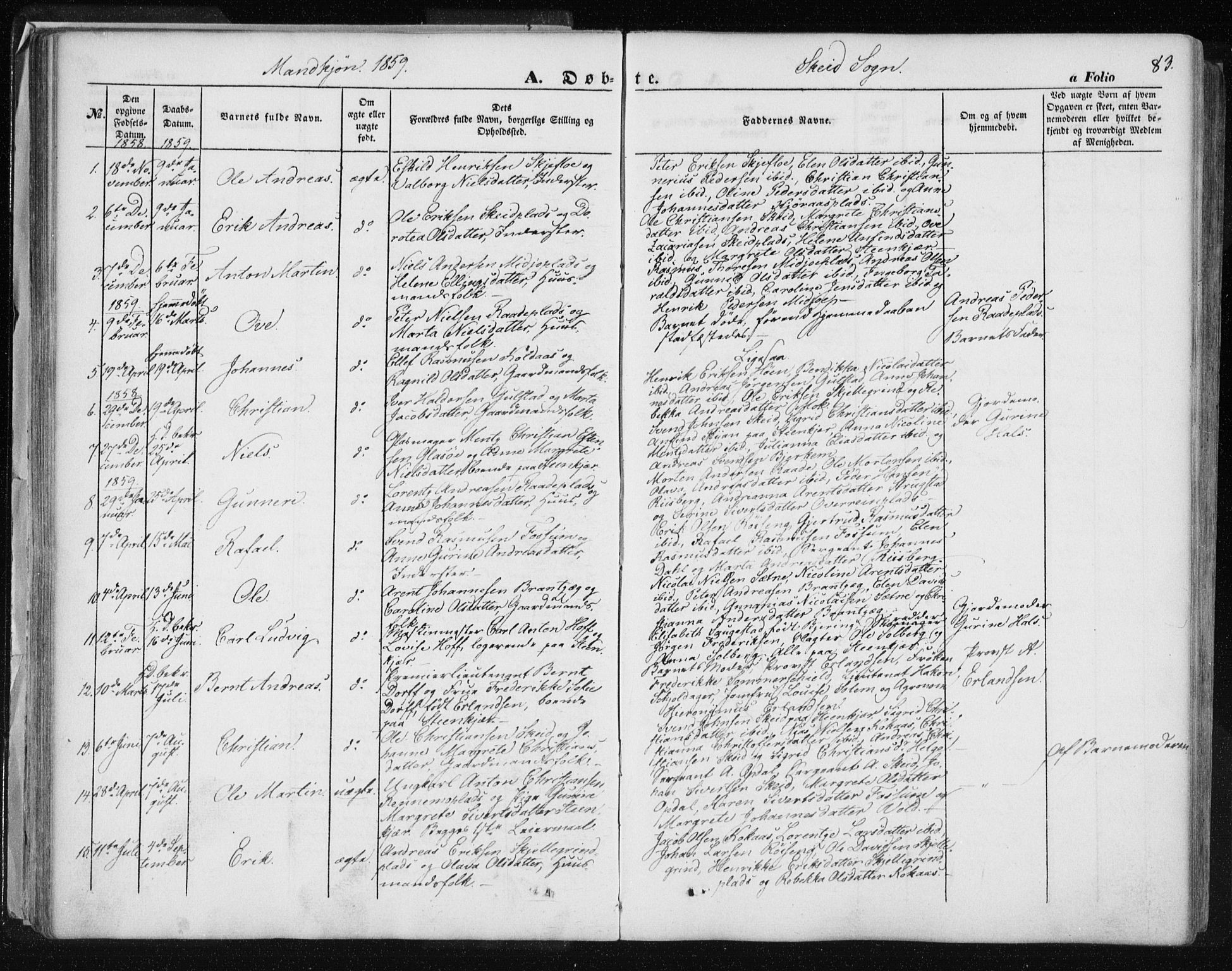 Ministerialprotokoller, klokkerbøker og fødselsregistre - Nord-Trøndelag, SAT/A-1458/735/L0342: Parish register (official) no. 735A07 /2, 1849-1862, p. 83