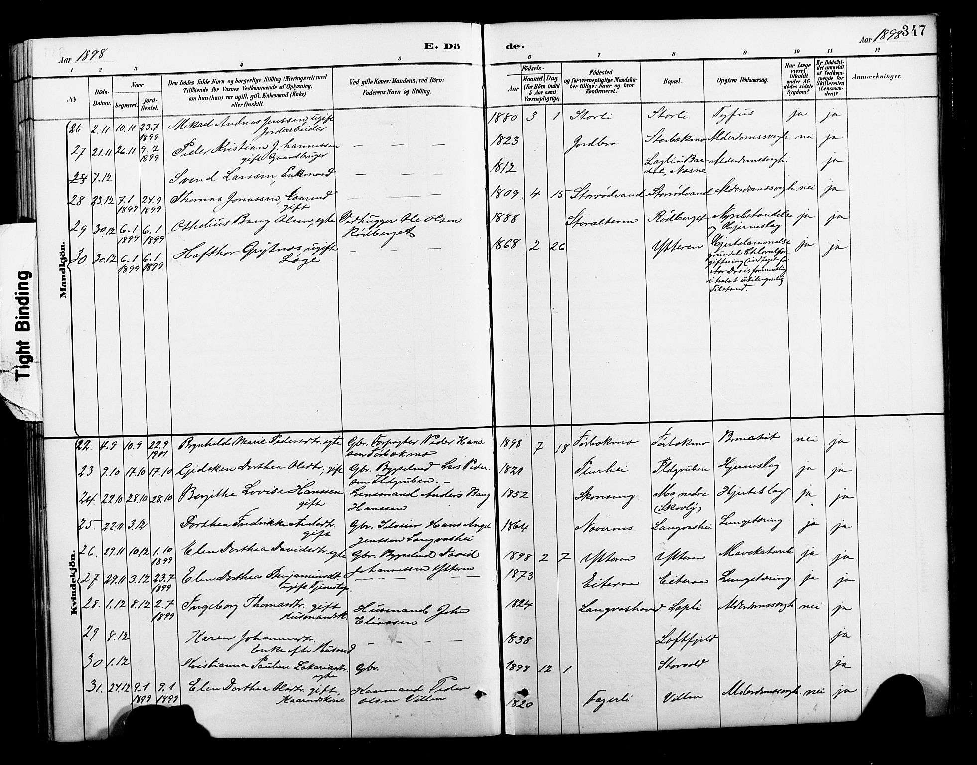 Ministerialprotokoller, klokkerbøker og fødselsregistre - Nordland, AV/SAT-A-1459/827/L0421: Parish register (copy) no. 827C10, 1887-1906, p. 347