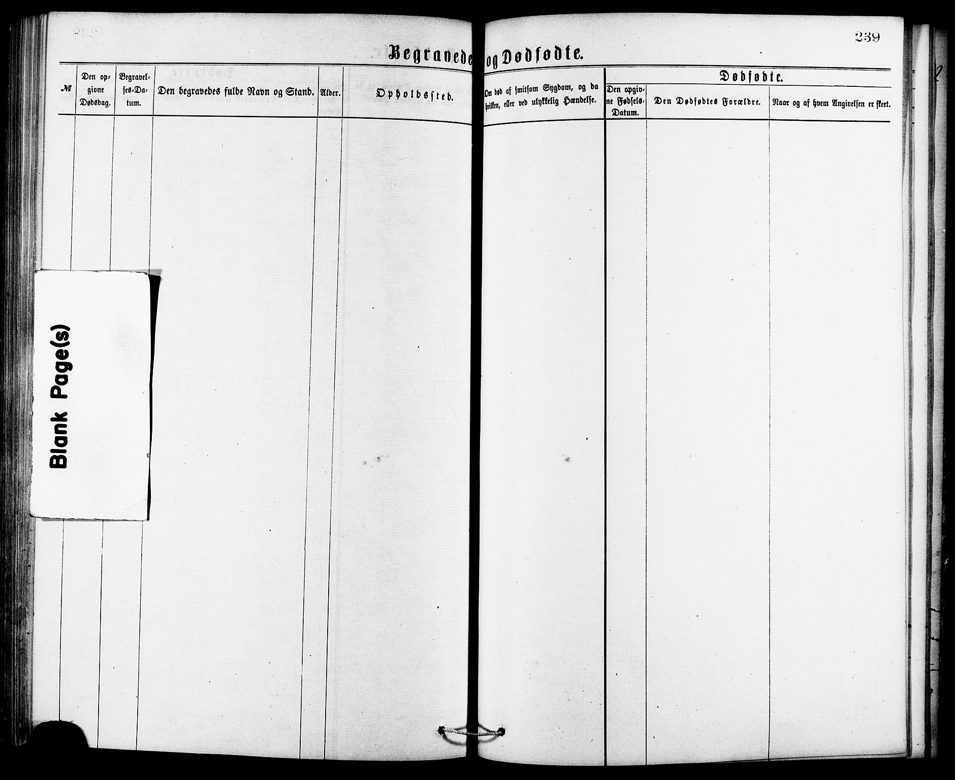 Ministerialprotokoller, klokkerbøker og fødselsregistre - Møre og Romsdal, AV/SAT-A-1454/529/L0453: Parish register (official) no. 529A03, 1872-1877, p. 239