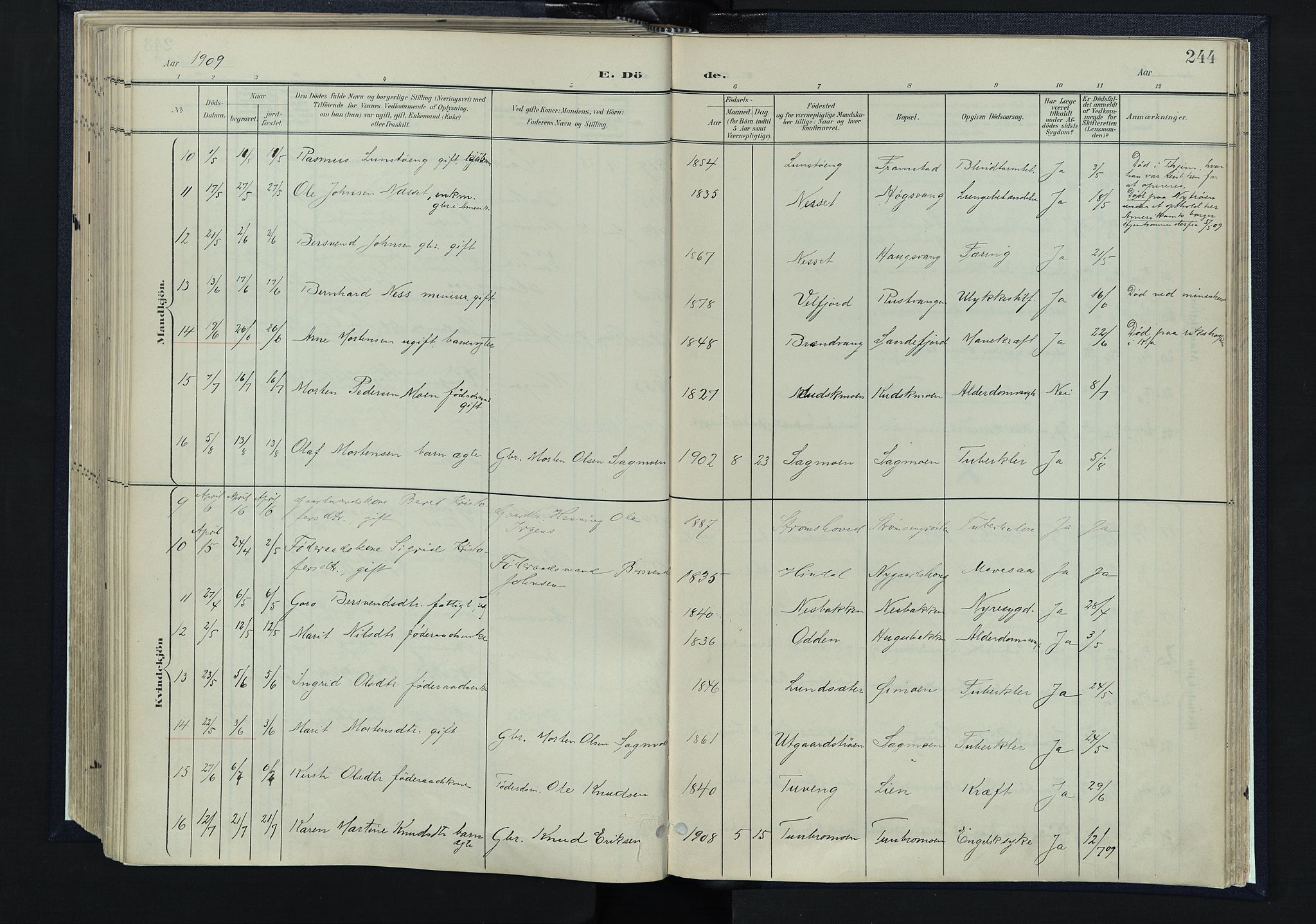 Tynset prestekontor, AV/SAH-PREST-058/H/Ha/Haa/L0025: Parish register (official) no. 25, 1900-1914, p. 244