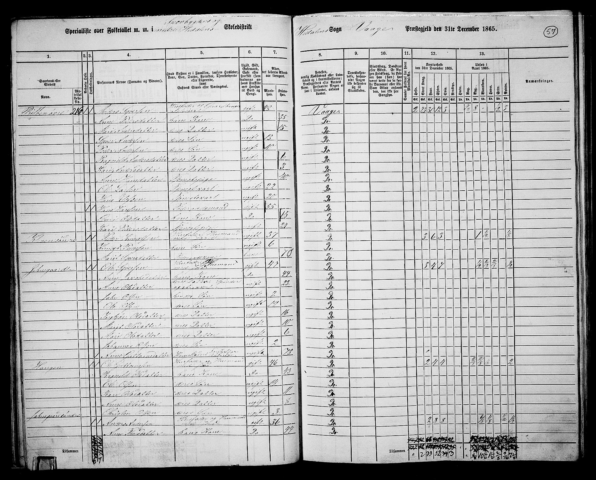 RA, 1865 census for Vågå, 1865, p. 223