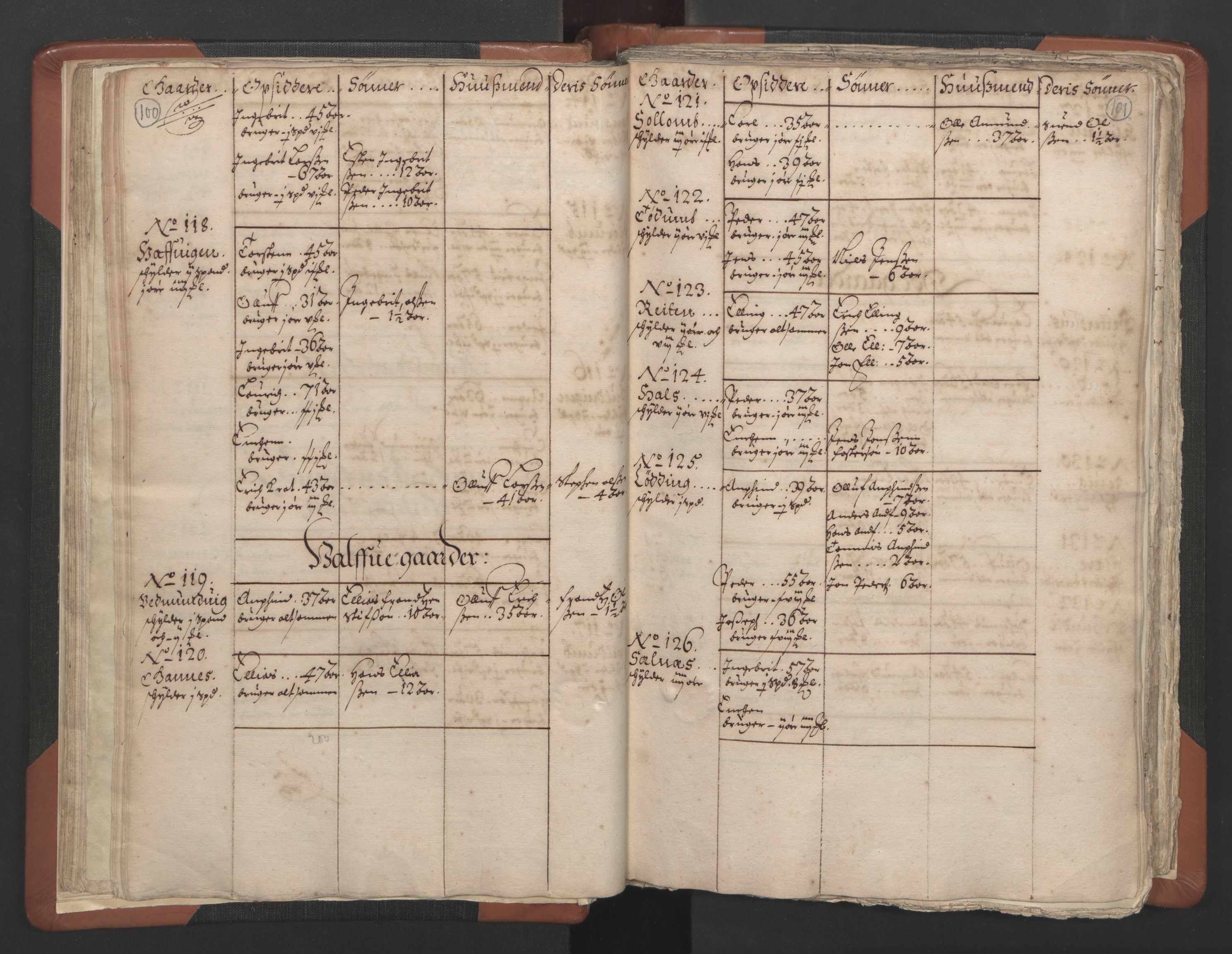 RA, Vicar's Census 1664-1666, no. 34: Namdal deanery, 1664-1666, p. 100-101