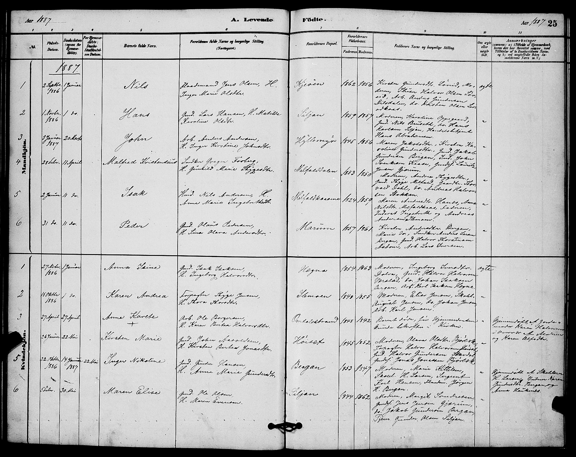 Solum kirkebøker, AV/SAKO-A-306/G/Gb/L0003: Parish register (copy) no. II 3, 1880-1898, p. 25