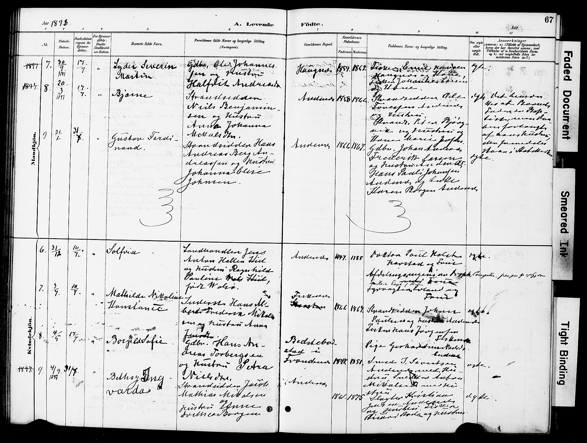 Ministerialprotokoller, klokkerbøker og fødselsregistre - Nordland, AV/SAT-A-1459/899/L1448: Parish register (copy) no. 899C03, 1887-1902, p. 67