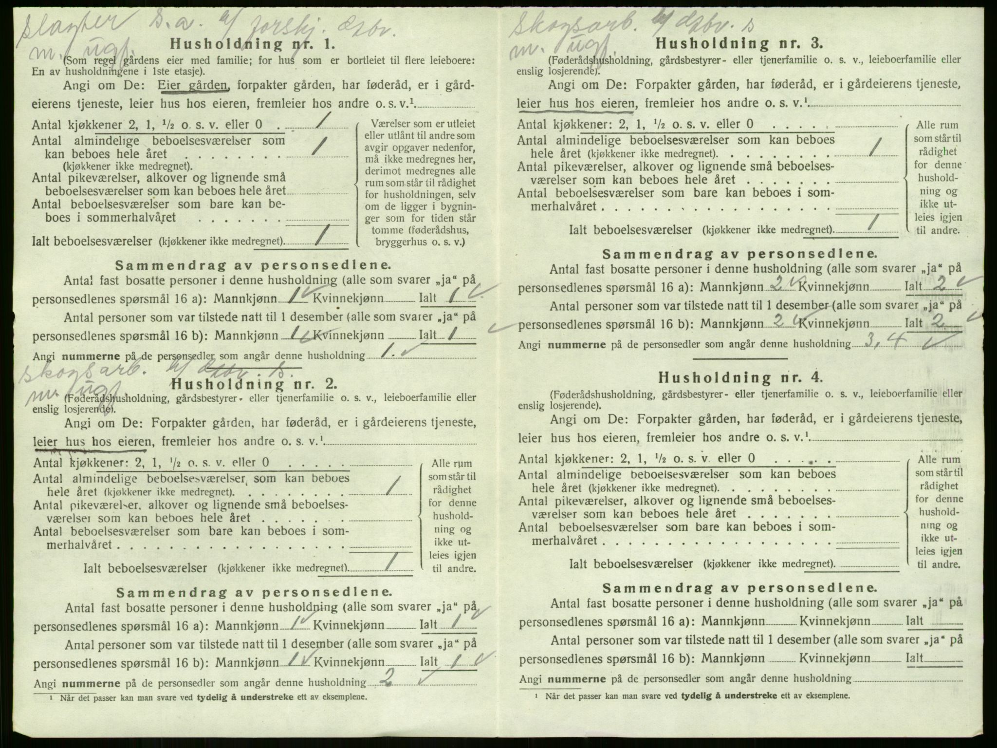 SAKO, 1920 census for Strømm, 1920, p. 436