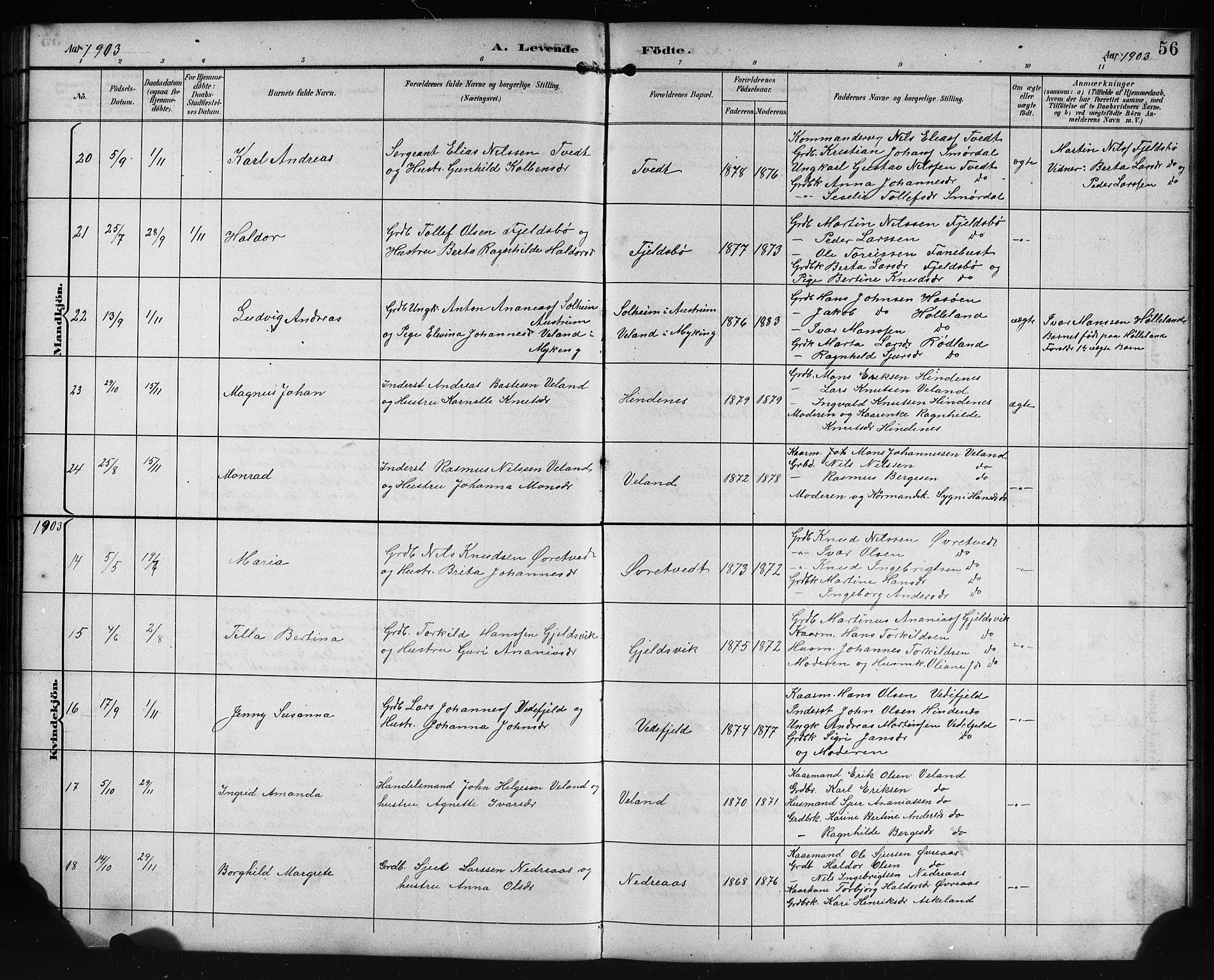 Lindås Sokneprestembete, SAB/A-76701/H/Hab: Parish register (copy) no. E 3, 1892-1905, p. 56