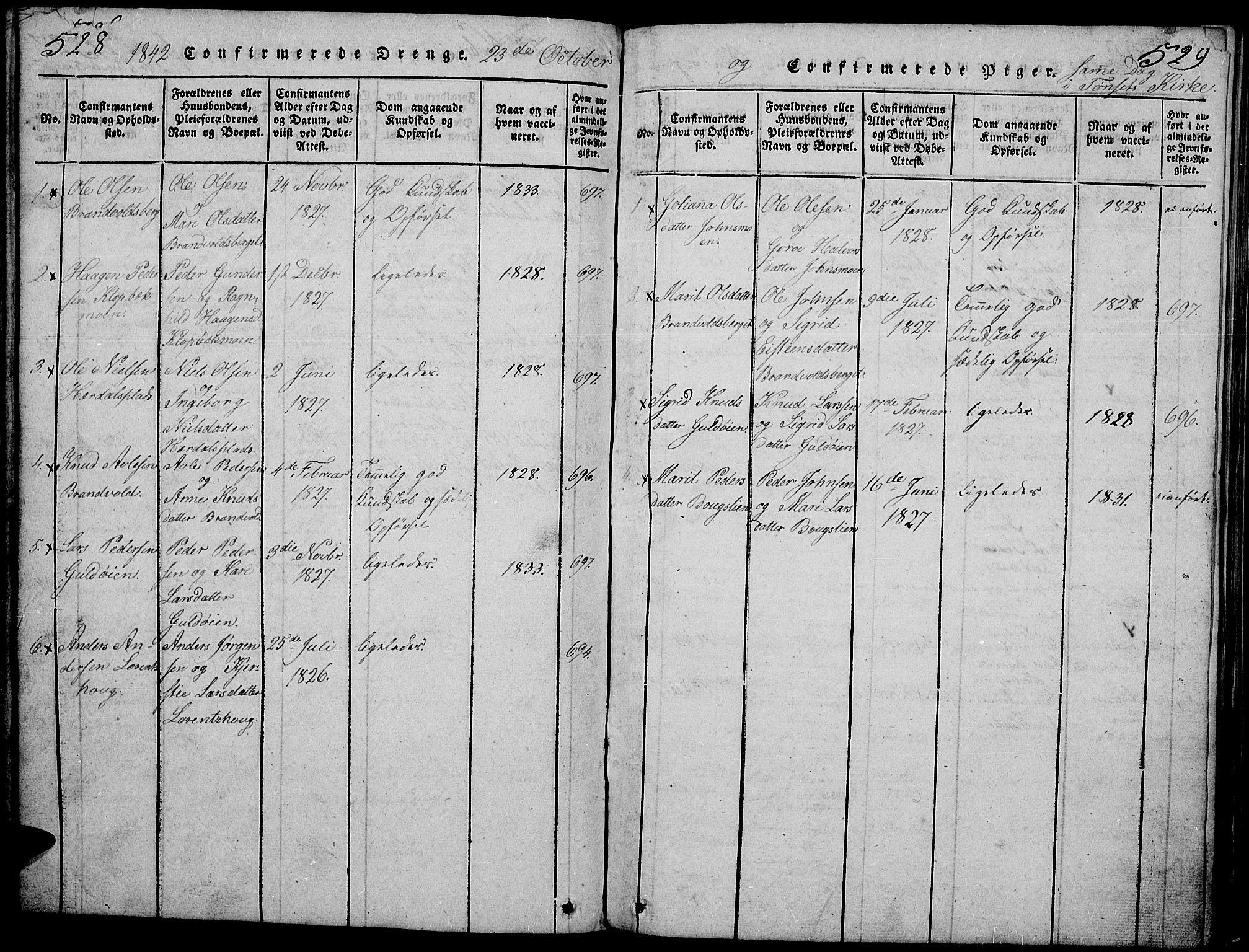 Tynset prestekontor, SAH/PREST-058/H/Ha/Hab/L0002: Parish register (copy) no. 2, 1814-1862, p. 528-529