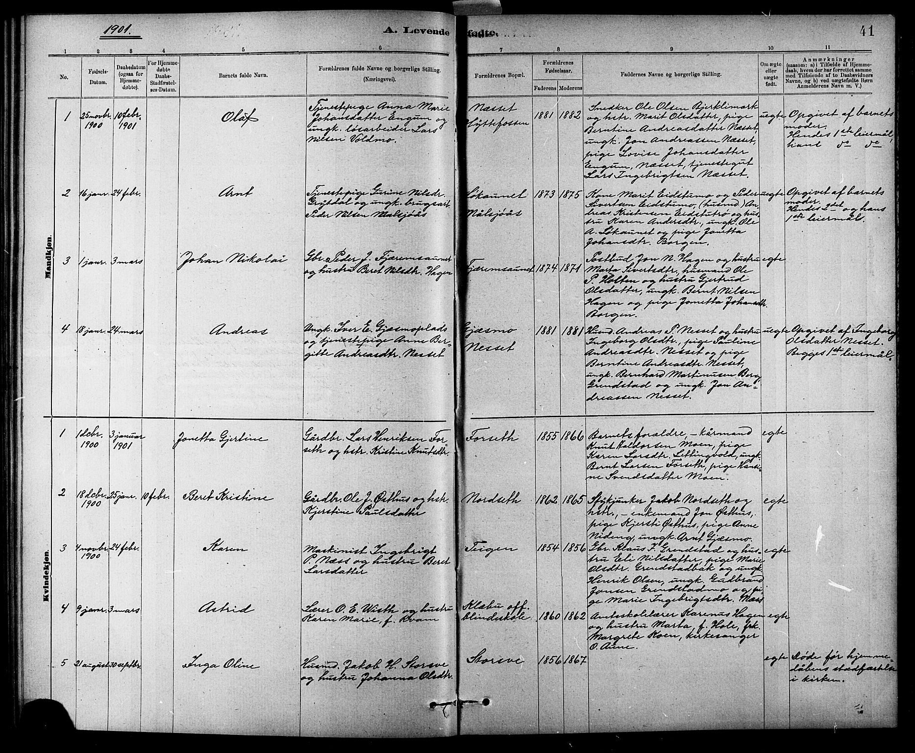 Ministerialprotokoller, klokkerbøker og fødselsregistre - Sør-Trøndelag, SAT/A-1456/618/L0452: Parish register (copy) no. 618C03, 1884-1906, p. 41