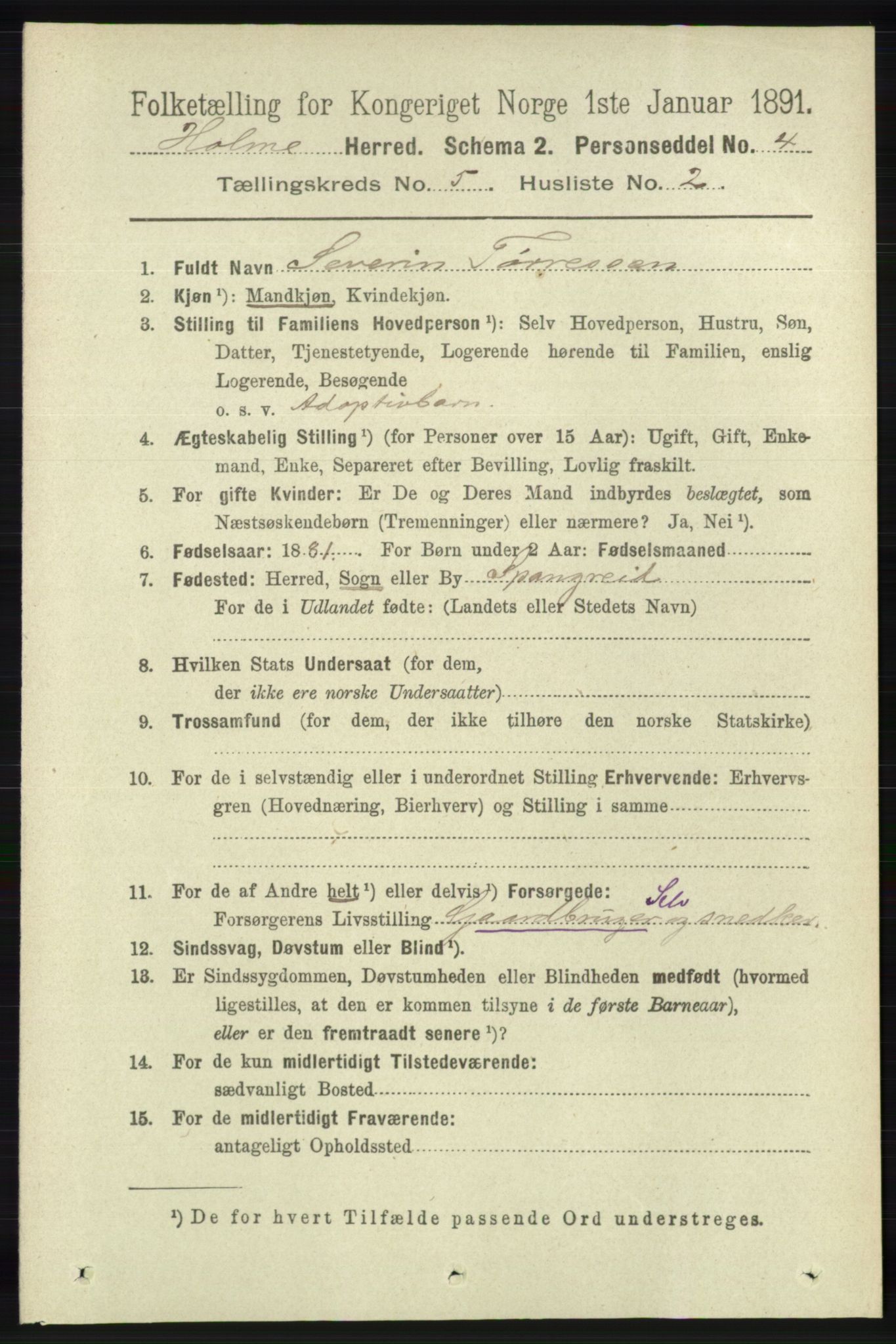 RA, 1891 census for 1020 Holum, 1891, p. 1243