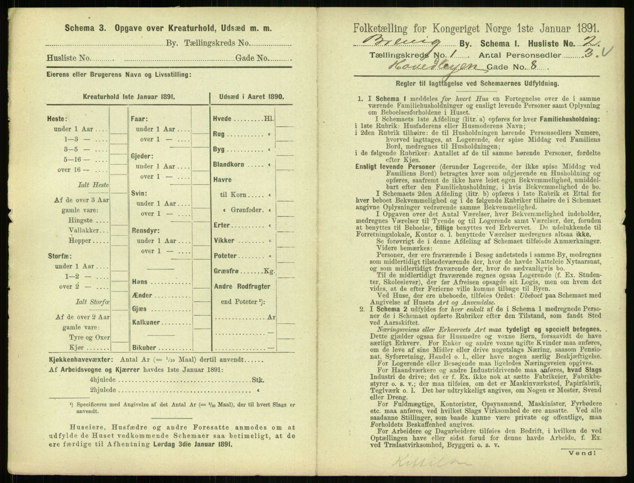 RA, 1891 census for 0804 Brevik, 1891, p. 21
