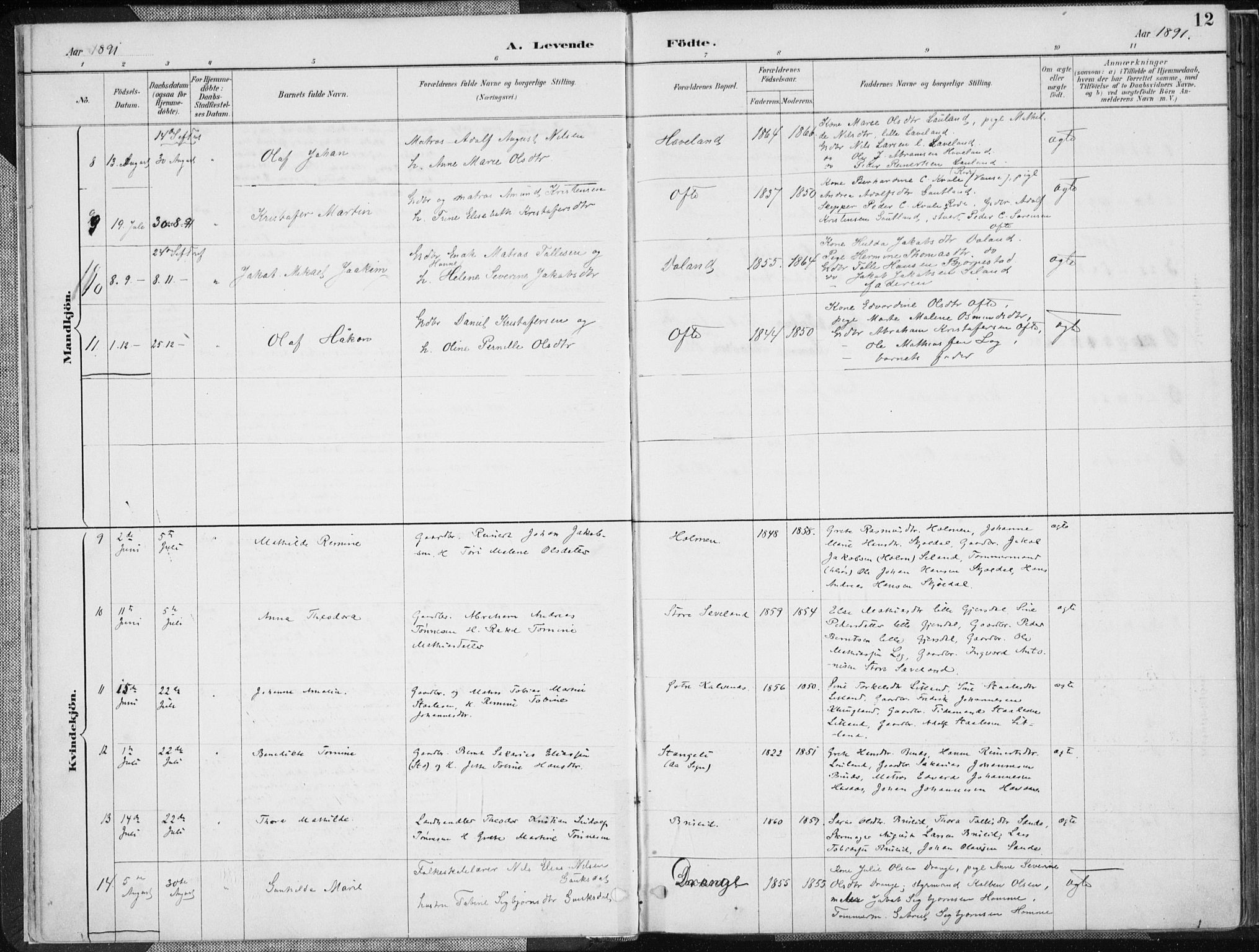 Herad sokneprestkontor, AV/SAK-1111-0018/F/Fa/Faa/L0006: Parish register (official) no. A 6, 1887-1907, p. 12