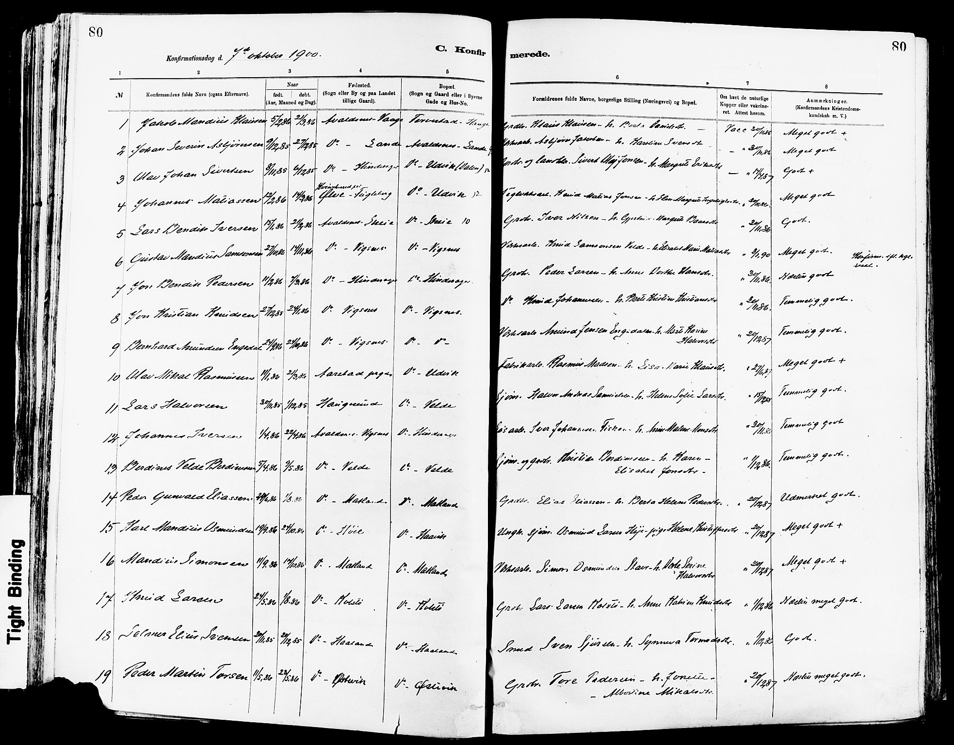 Avaldsnes sokneprestkontor, AV/SAST-A -101851/H/Ha/Haa/L0015: Parish register (official) no. A 15, 1880-1906, p. 80