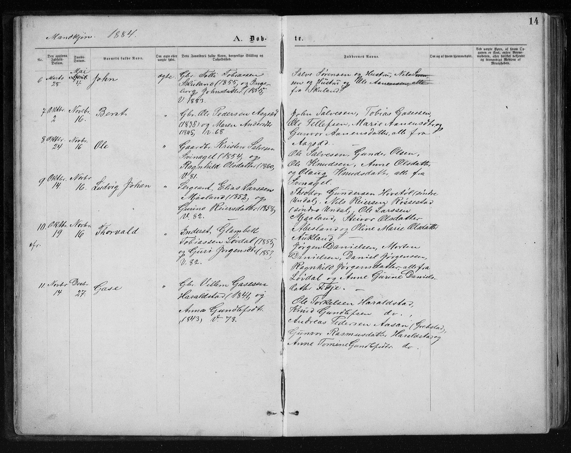 Holum sokneprestkontor, AV/SAK-1111-0022/F/Fb/Fbb/L0003: Parish register (copy) no. B 3, 1875-1898, p. 14