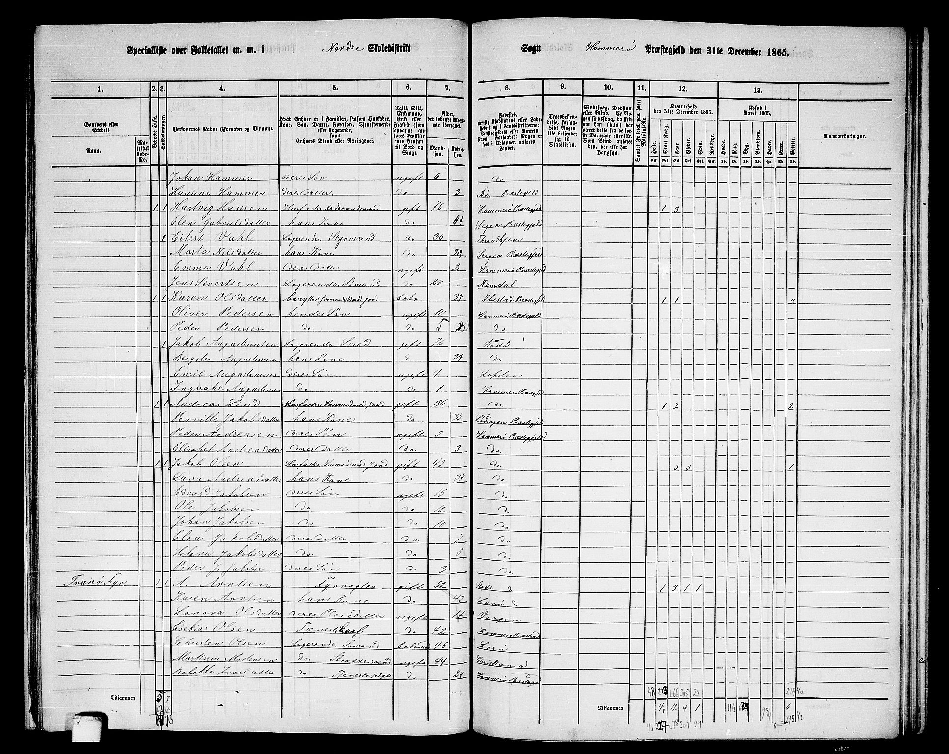 RA, 1865 census for Hamarøy, 1865, p. 21