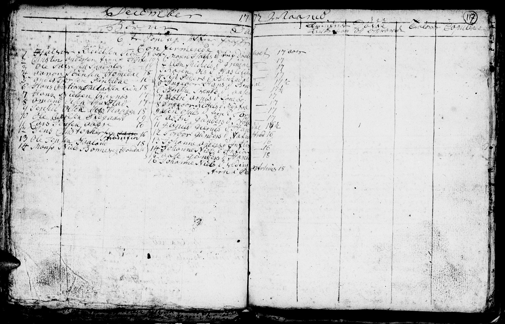 Hommedal sokneprestkontor, AV/SAK-1111-0023/F/Fb/Fbb/L0001: Parish register (copy) no. B 1, 1753-1791, p. 117