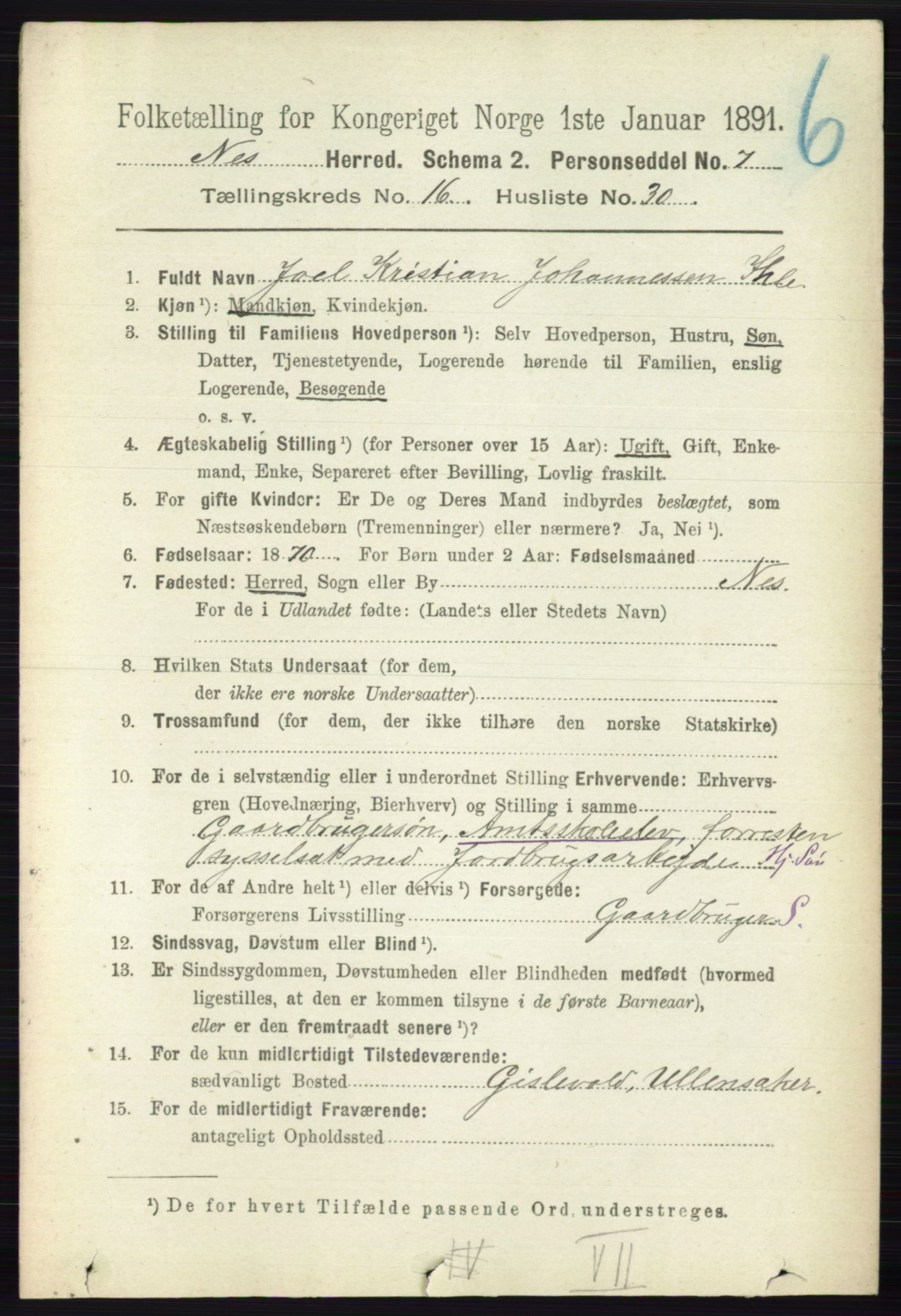 RA, 1891 census for 0236 Nes, 1891, p. 9740