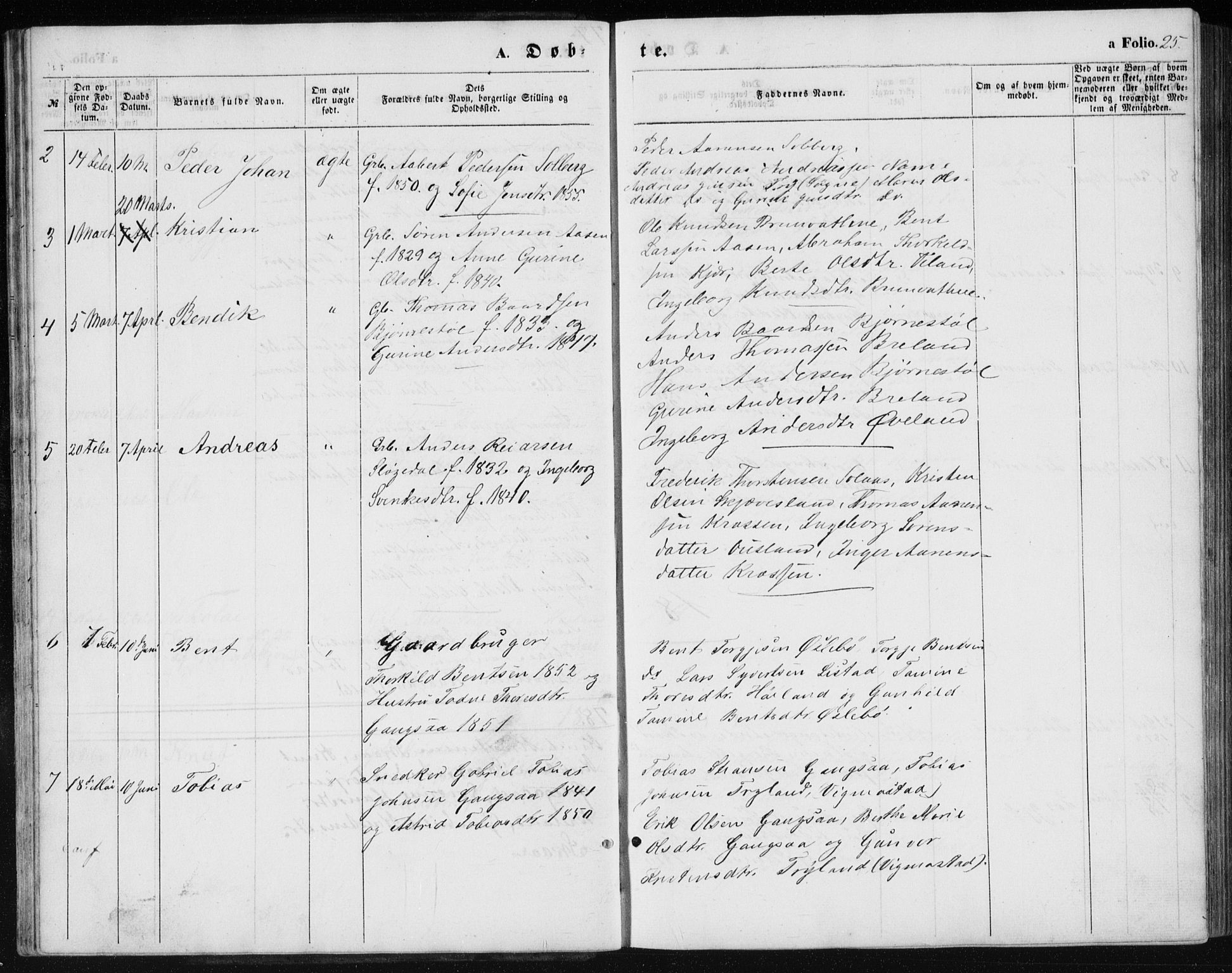 Holum sokneprestkontor, AV/SAK-1111-0022/F/Fb/Fbc/L0002: Parish register (copy) no. B 2, 1860-1882, p. 25