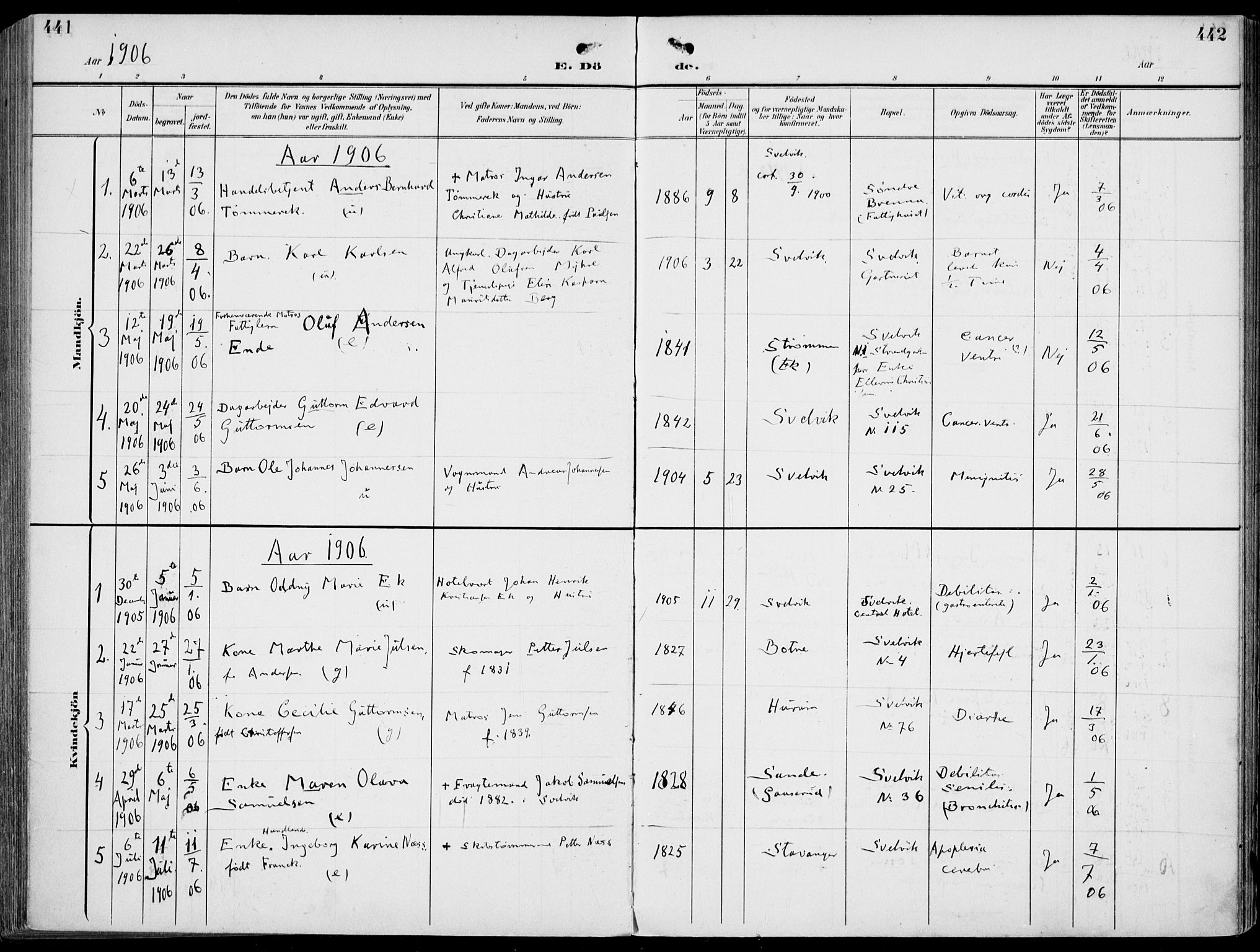 Strømm kirkebøker, AV/SAKO-A-322/F/Fb/L0002: Parish register (official) no. II 2, 1900-1919, p. 441-442