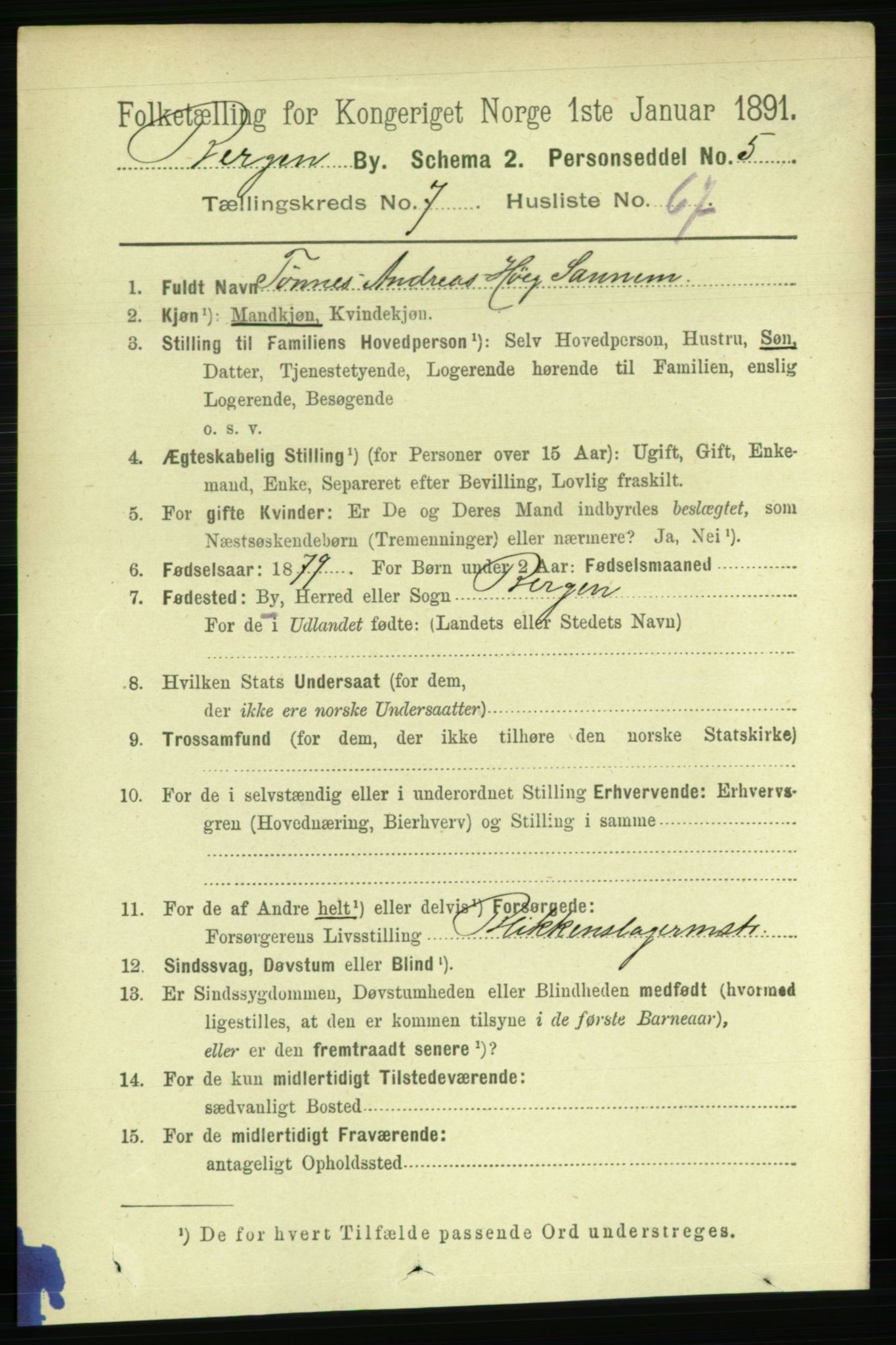 RA, 1891 Census for 1301 Bergen, 1891, p. 16543