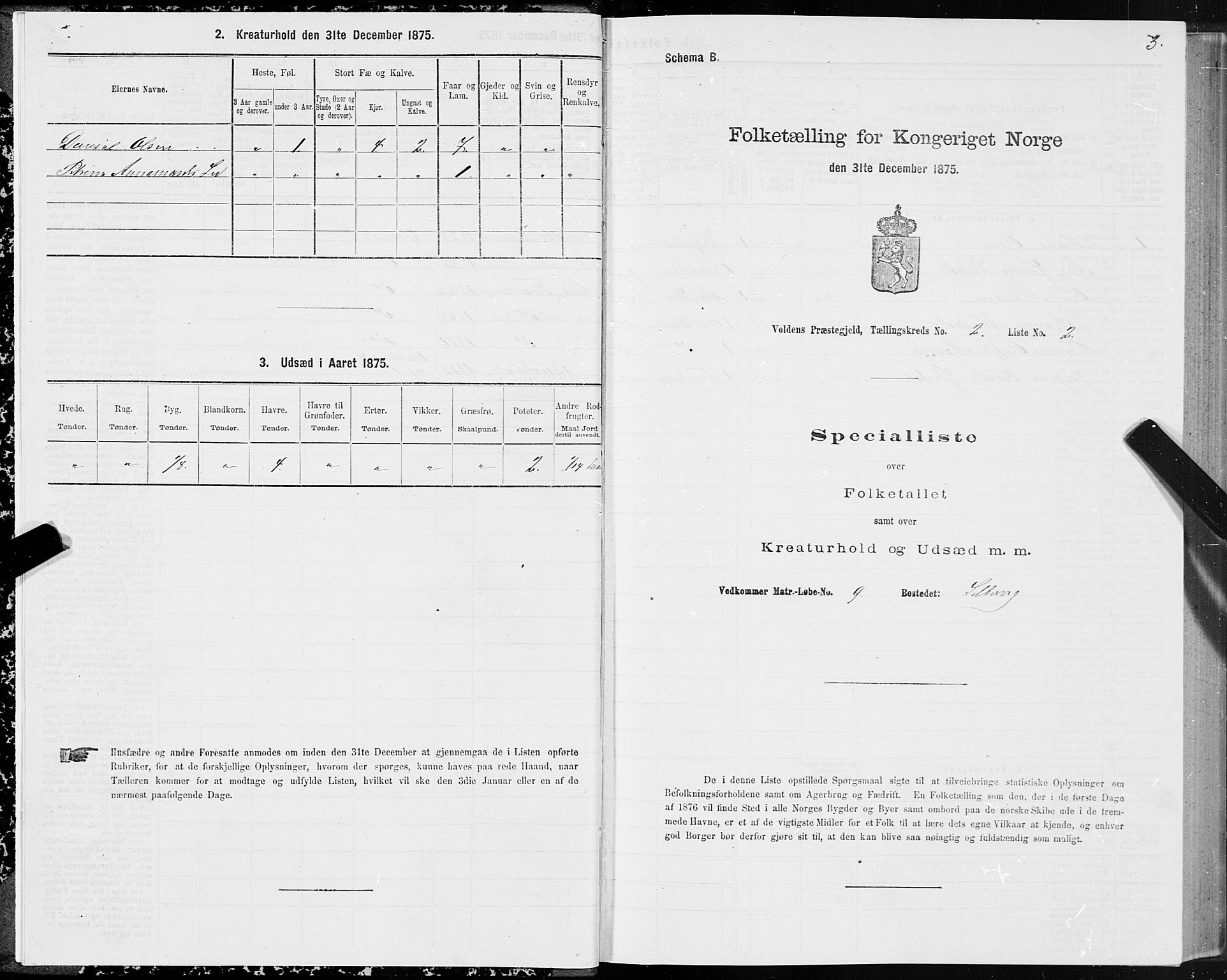 SAT, 1875 census for 1519P Volda, 1875, p. 2003