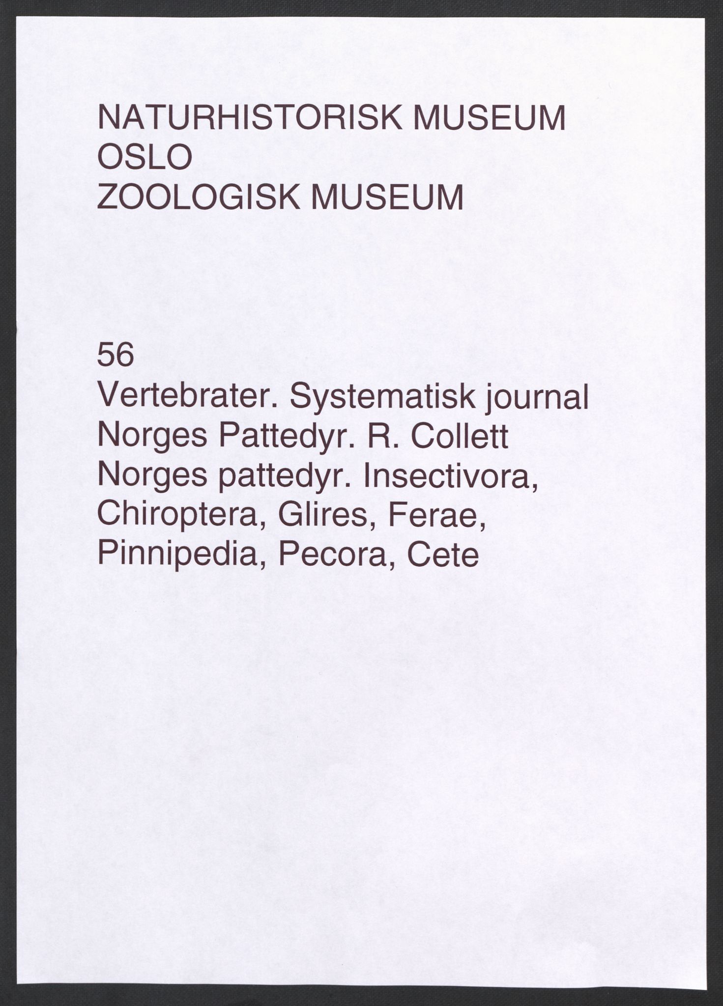 Naturhistorisk museum (Oslo), NHMO/-/5