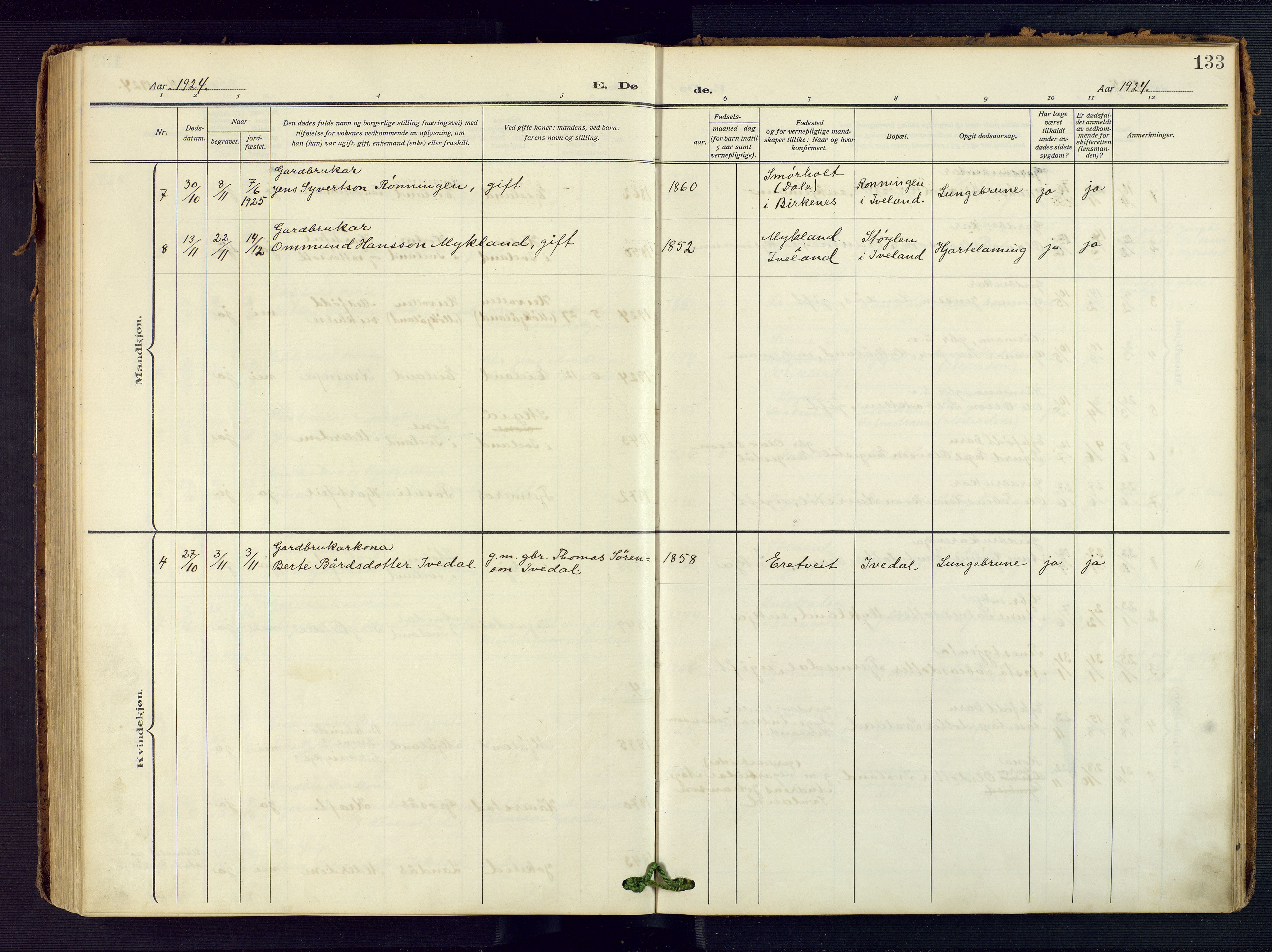 Evje sokneprestkontor, AV/SAK-1111-0008/F/Fa/Fac/L0004: Parish register (official) no. A 4, 1910-1932, p. 133