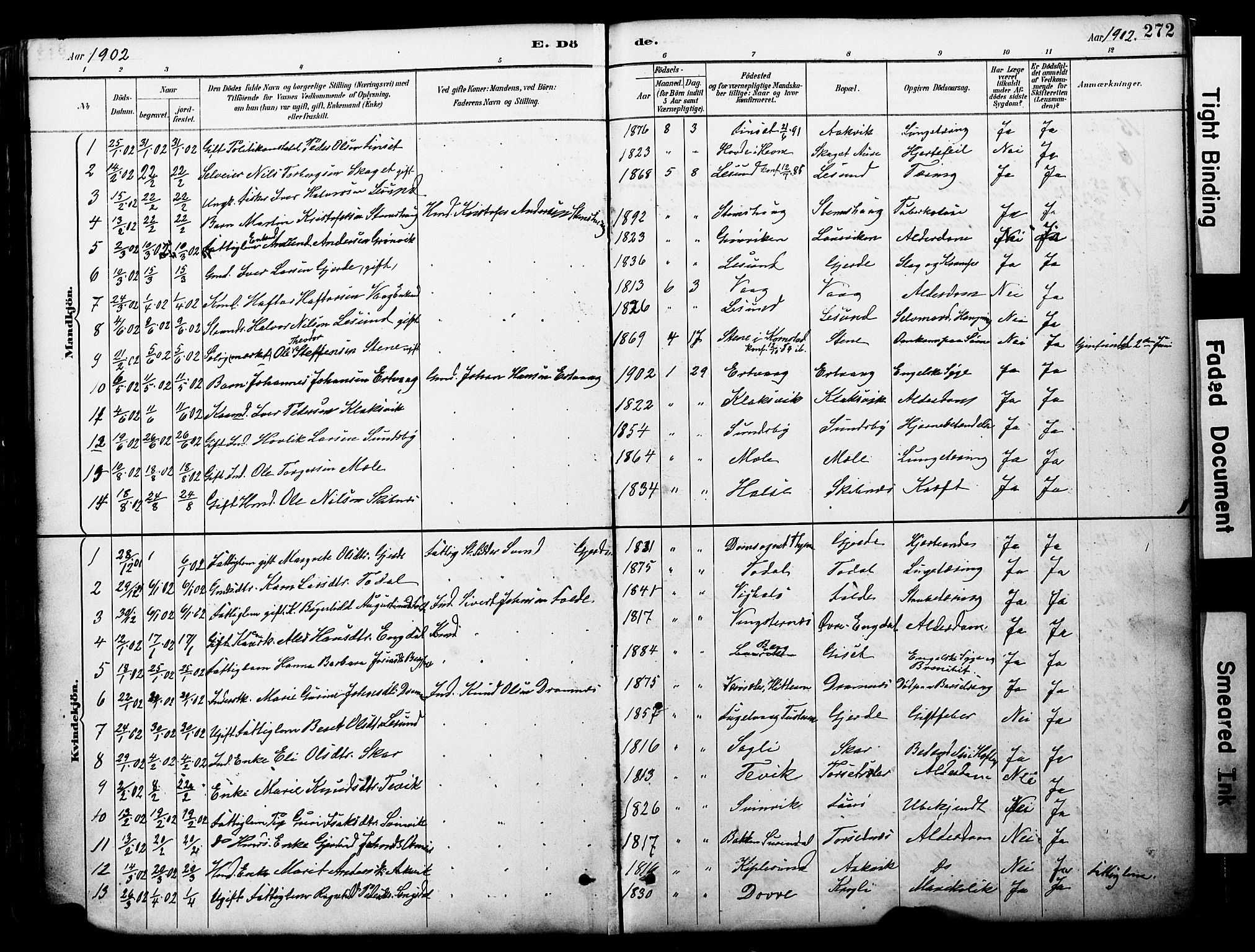 Ministerialprotokoller, klokkerbøker og fødselsregistre - Møre og Romsdal, AV/SAT-A-1454/578/L0907: Parish register (official) no. 578A06, 1887-1904, p. 272