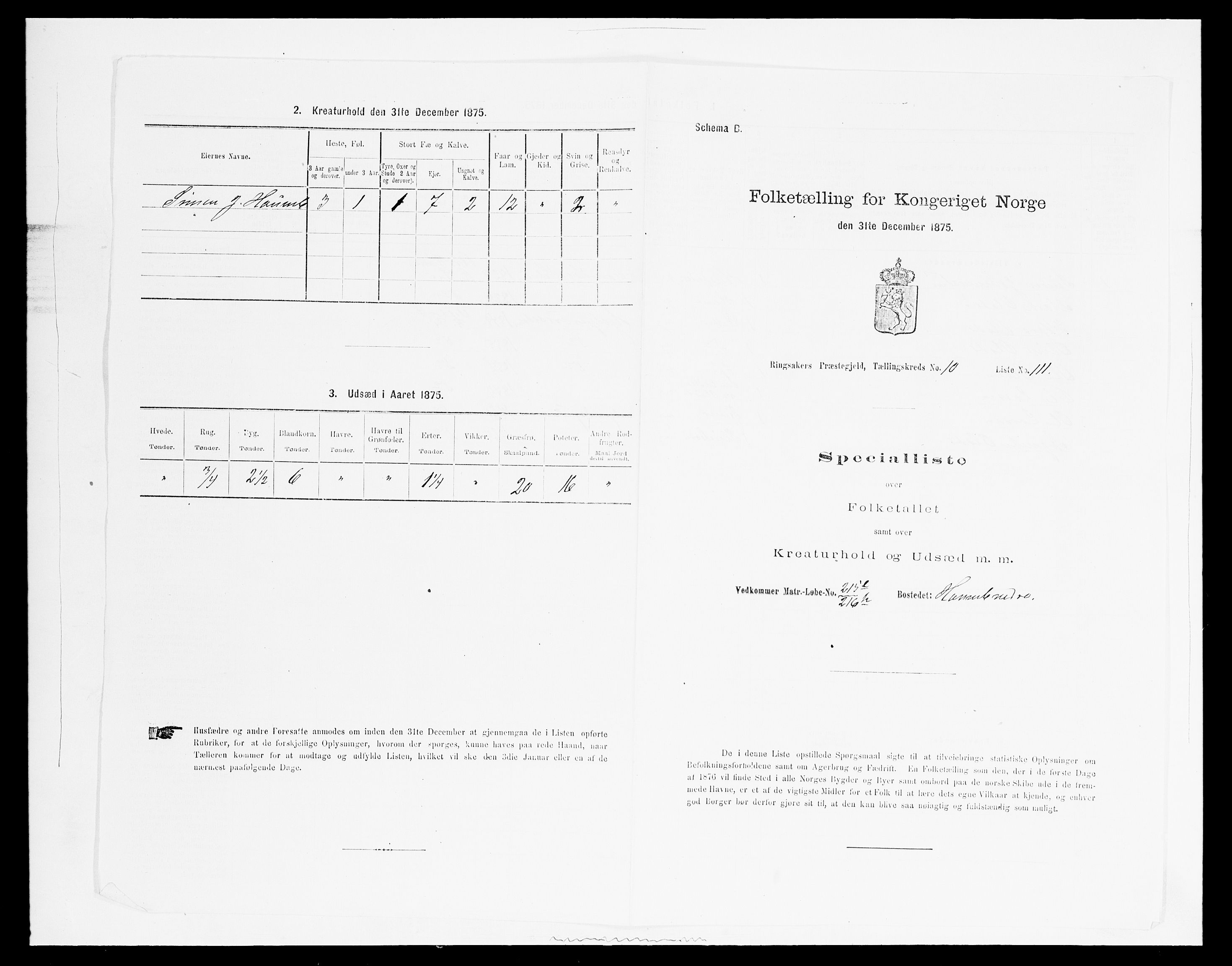 SAH, 1875 census for 0412P Ringsaker, 1875, p. 2154