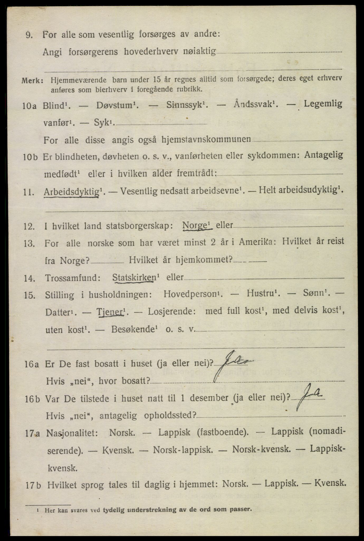 SAT, 1920 census for Bø, 1920, p. 7273