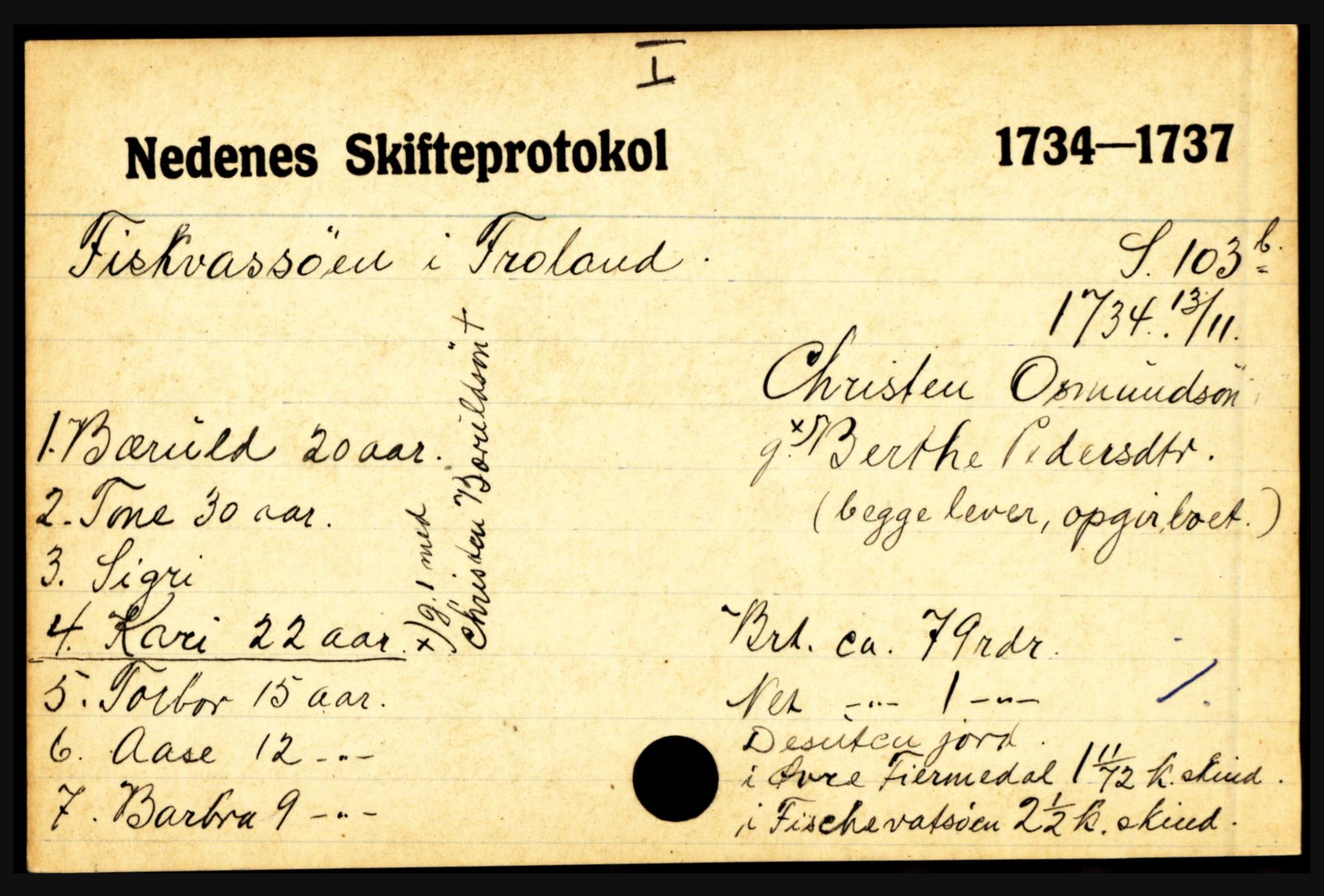 Nedenes sorenskriveri før 1824, AV/SAK-1221-0007/H, p. 6709