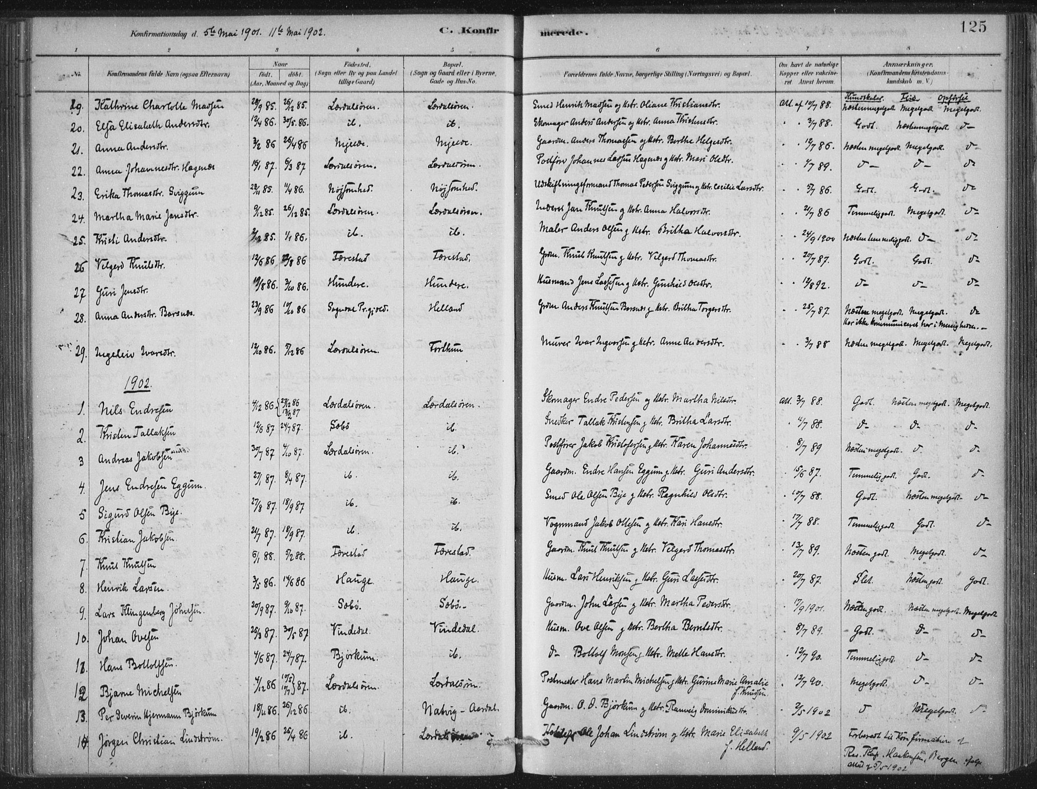 Lærdal sokneprestembete, SAB/A-81201: Parish register (official) no. D  1, 1878-1908, p. 125