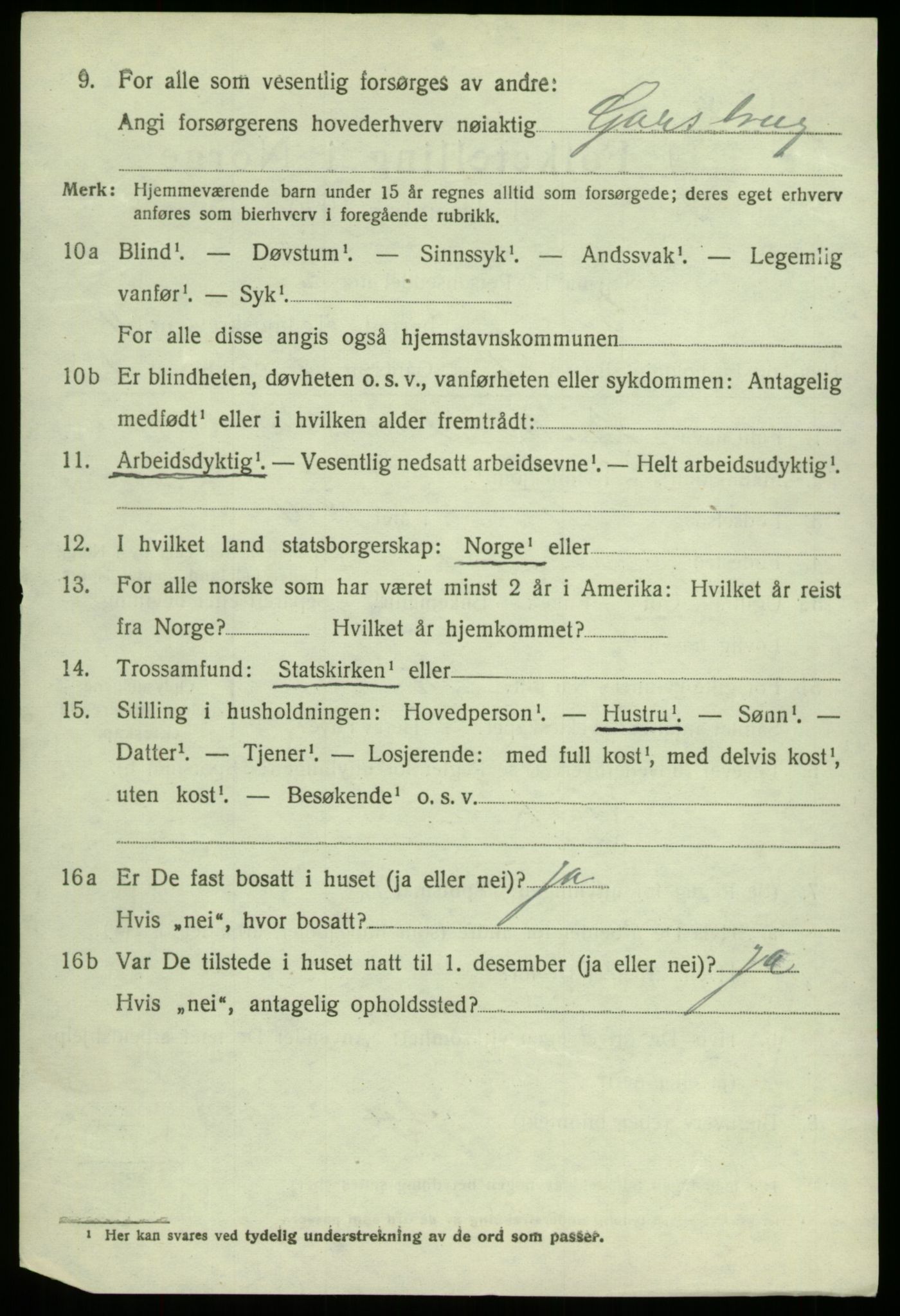 SAB, 1920 census for Haus, 1920, p. 6718