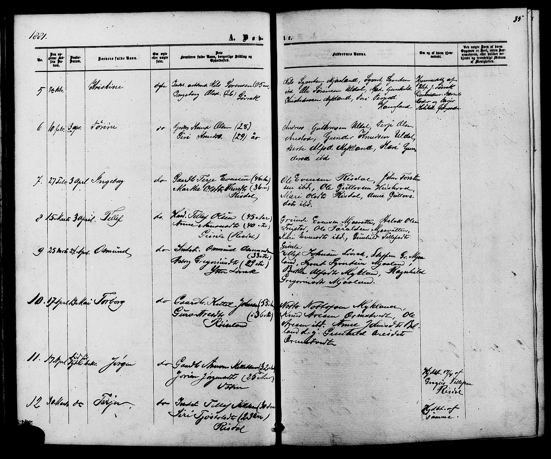 Herefoss sokneprestkontor, AV/SAK-1111-0019/F/Fb/Fbc/L0002: Parish register (copy) no. B 2, 1867-1886, p. 35