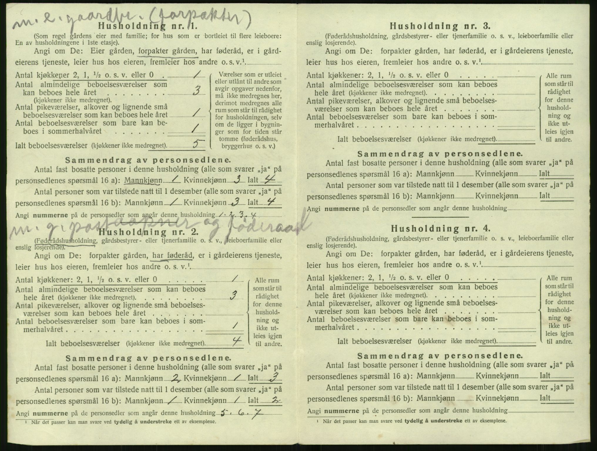 SAT, 1920 census for Sunnylven, 1920, p. 495