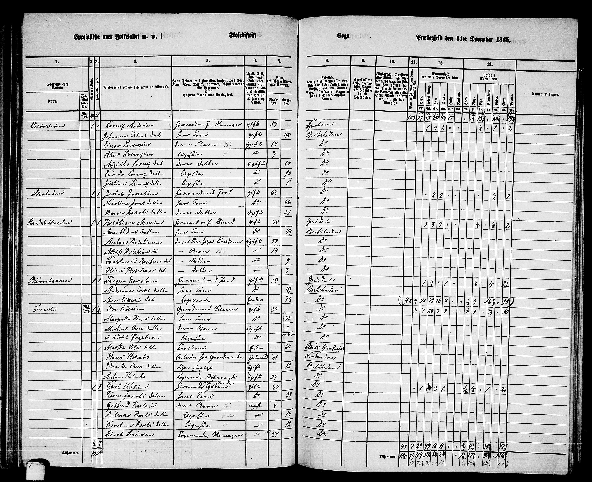 RA, 1865 census for Beitstad, 1865, p. 80