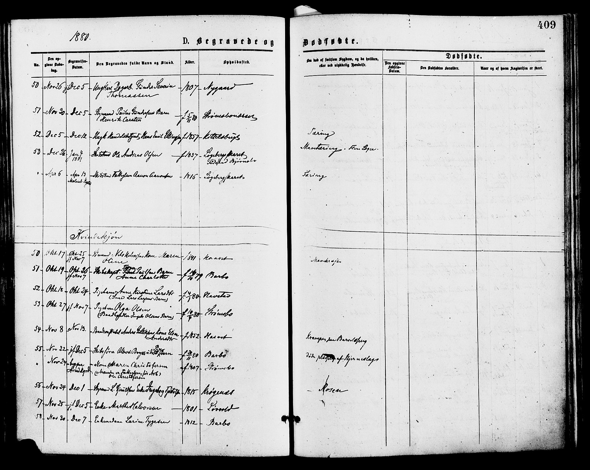 Barbu sokneprestkontor, AV/SAK-1111-0003/F/Fa/L0001: Parish register (official) no. A 1 /1, 1878-1883, p. 409